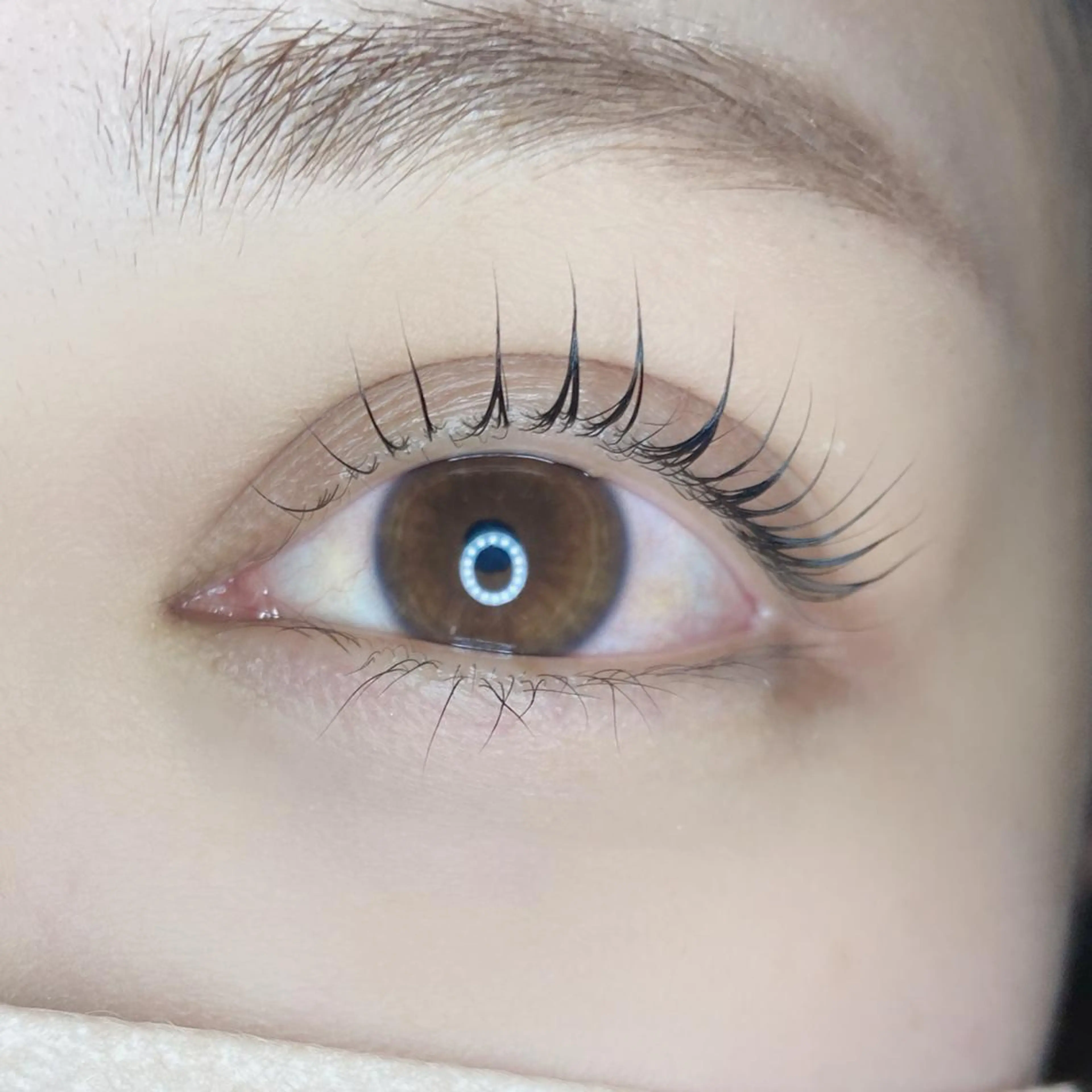 マツエク・マツパ 束感まつ毛 mahalo / momokoのマツエク・マツパデザイン