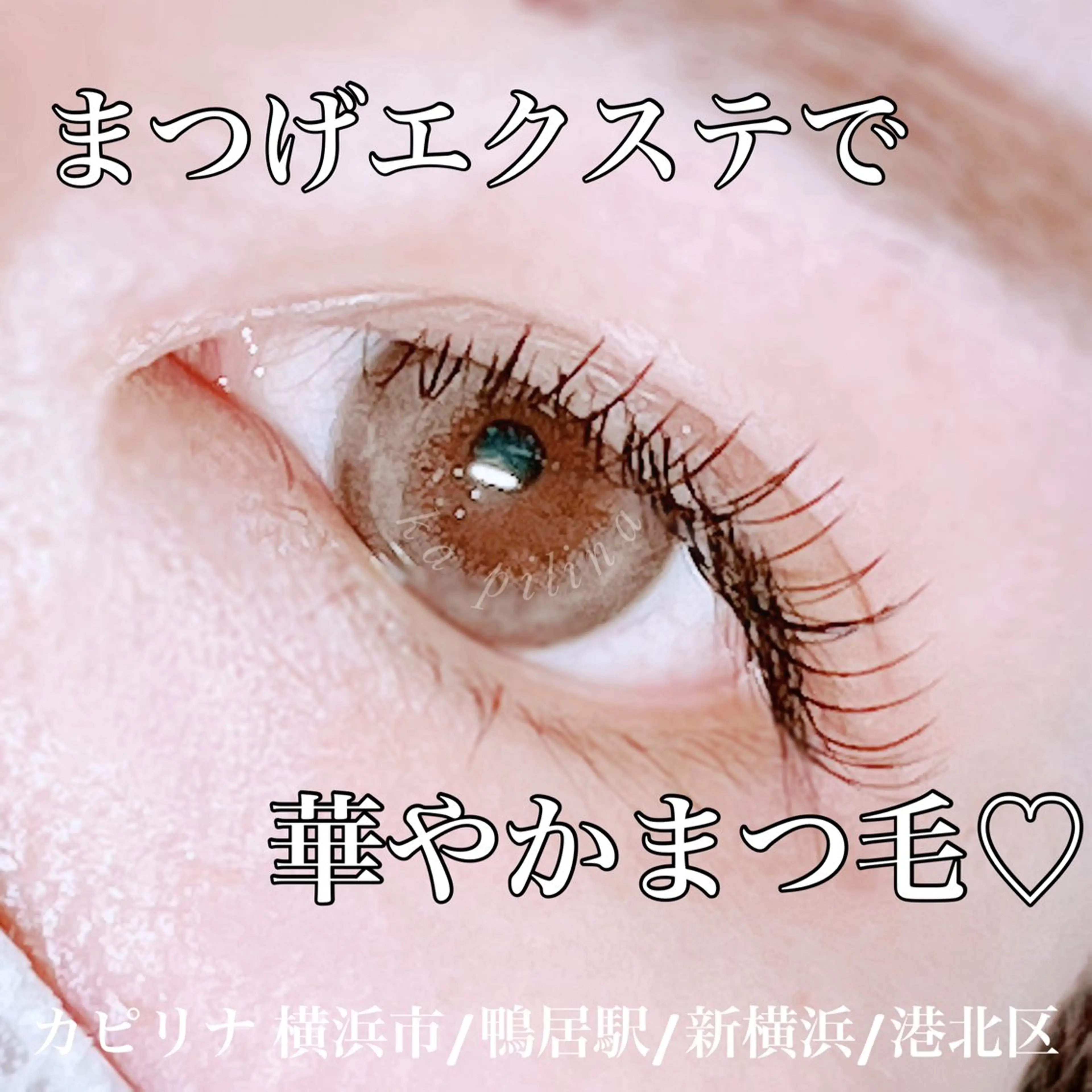 minimo特別価格フラットラッシュ～100本の写真