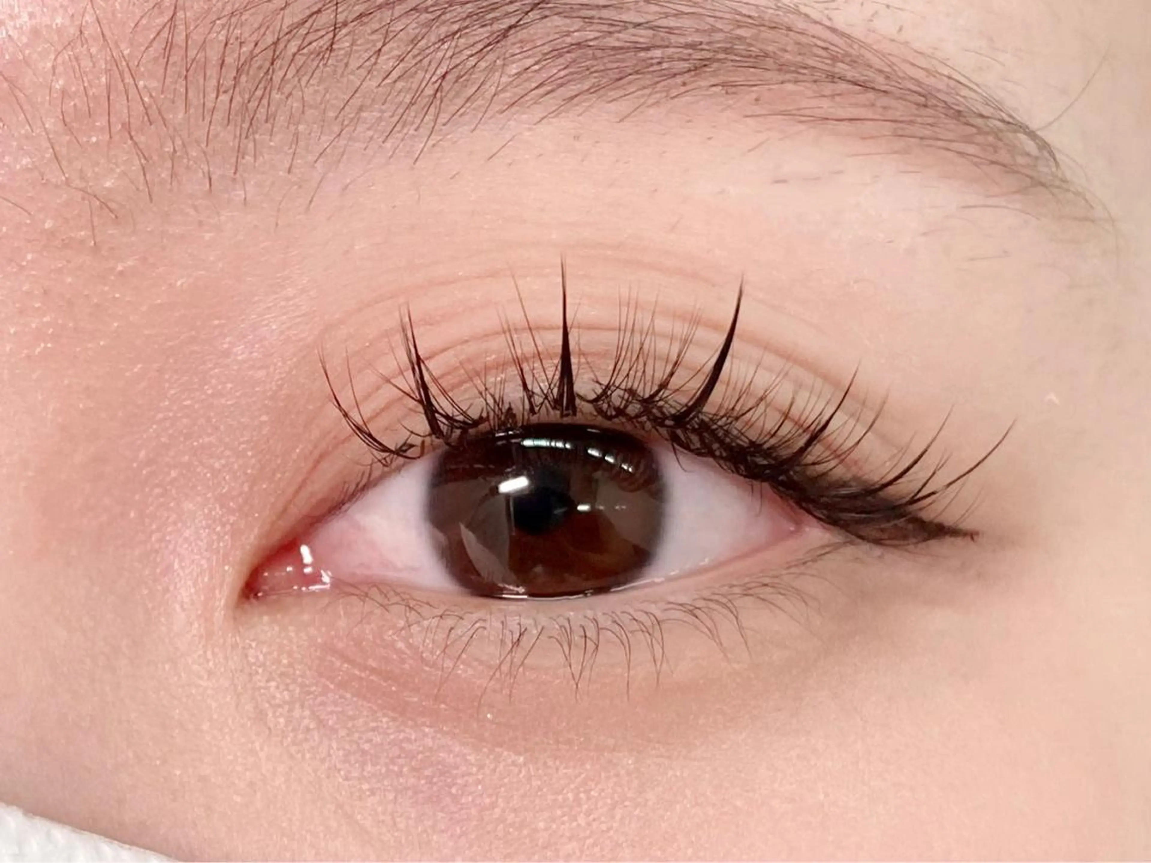 マツエク・マツパ フラットラッシュ ボリュームラッシュ ワンホンマツエク マツエク アルーシェ平井店 airiのマツエク・マツパデザイン