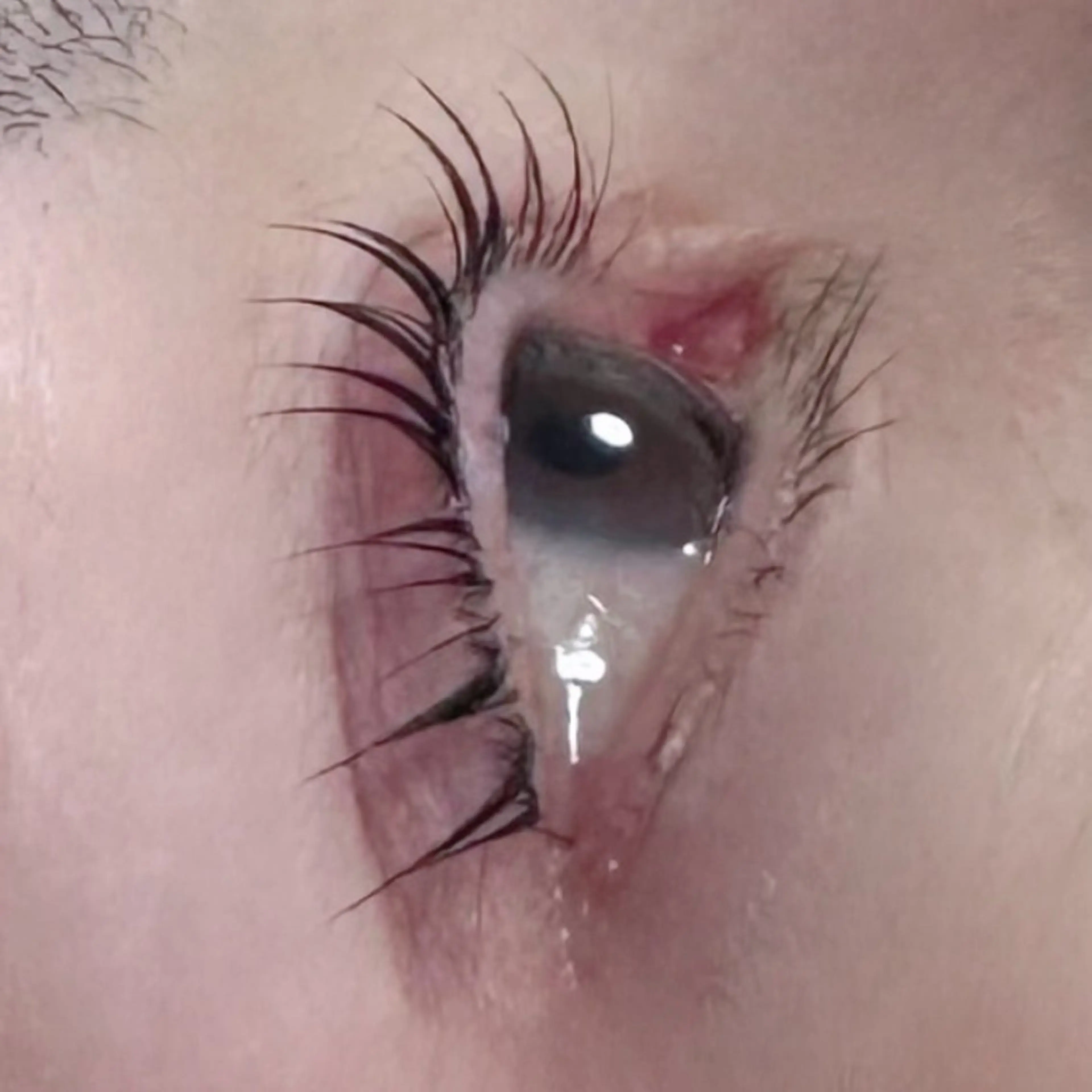 🌟まつげパーマ🌟の写真