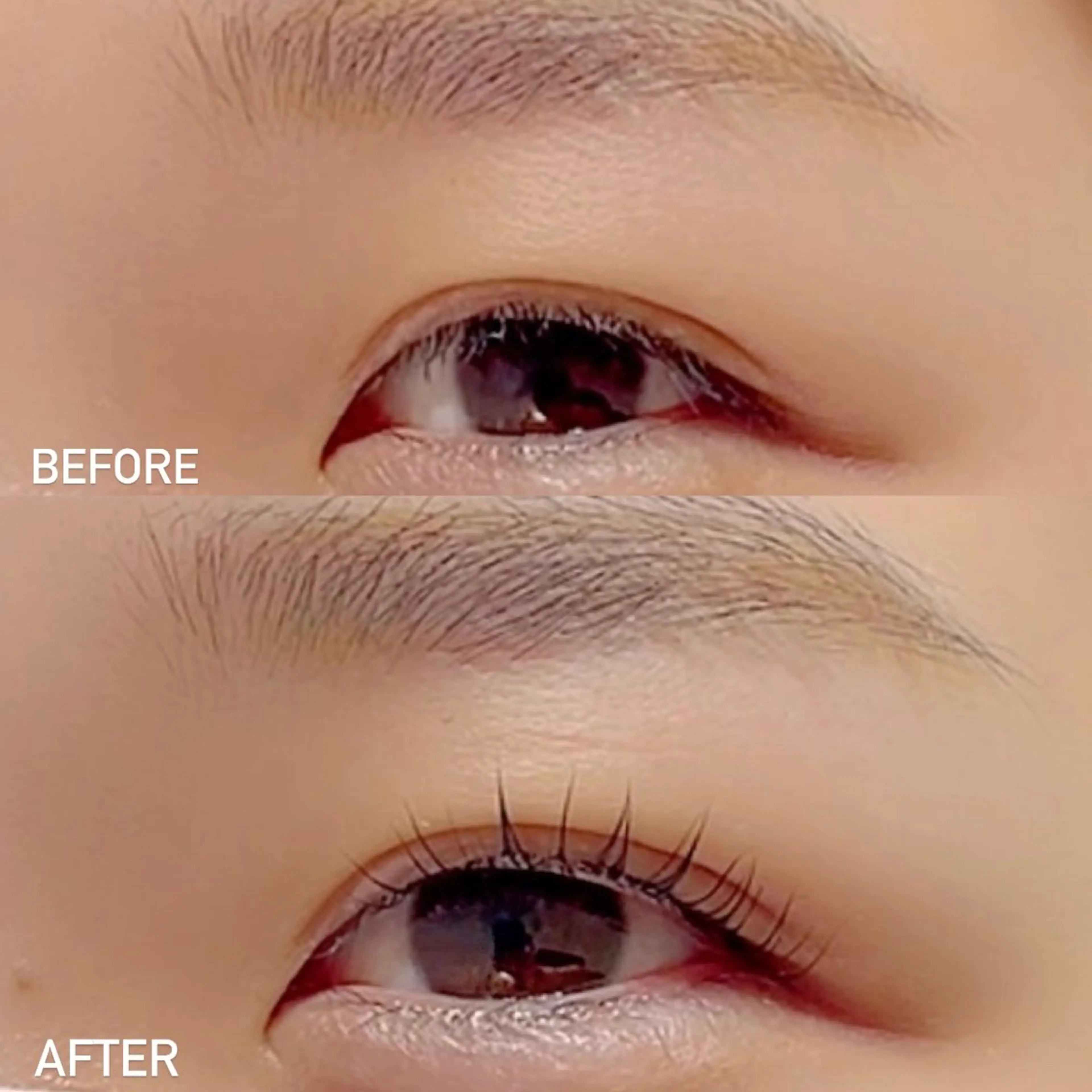 マツエク・マツパ 一重×まつ毛パーマ SAKUKU韓国式 まつ毛パーマ専門店のマツエク・マツパデザイン