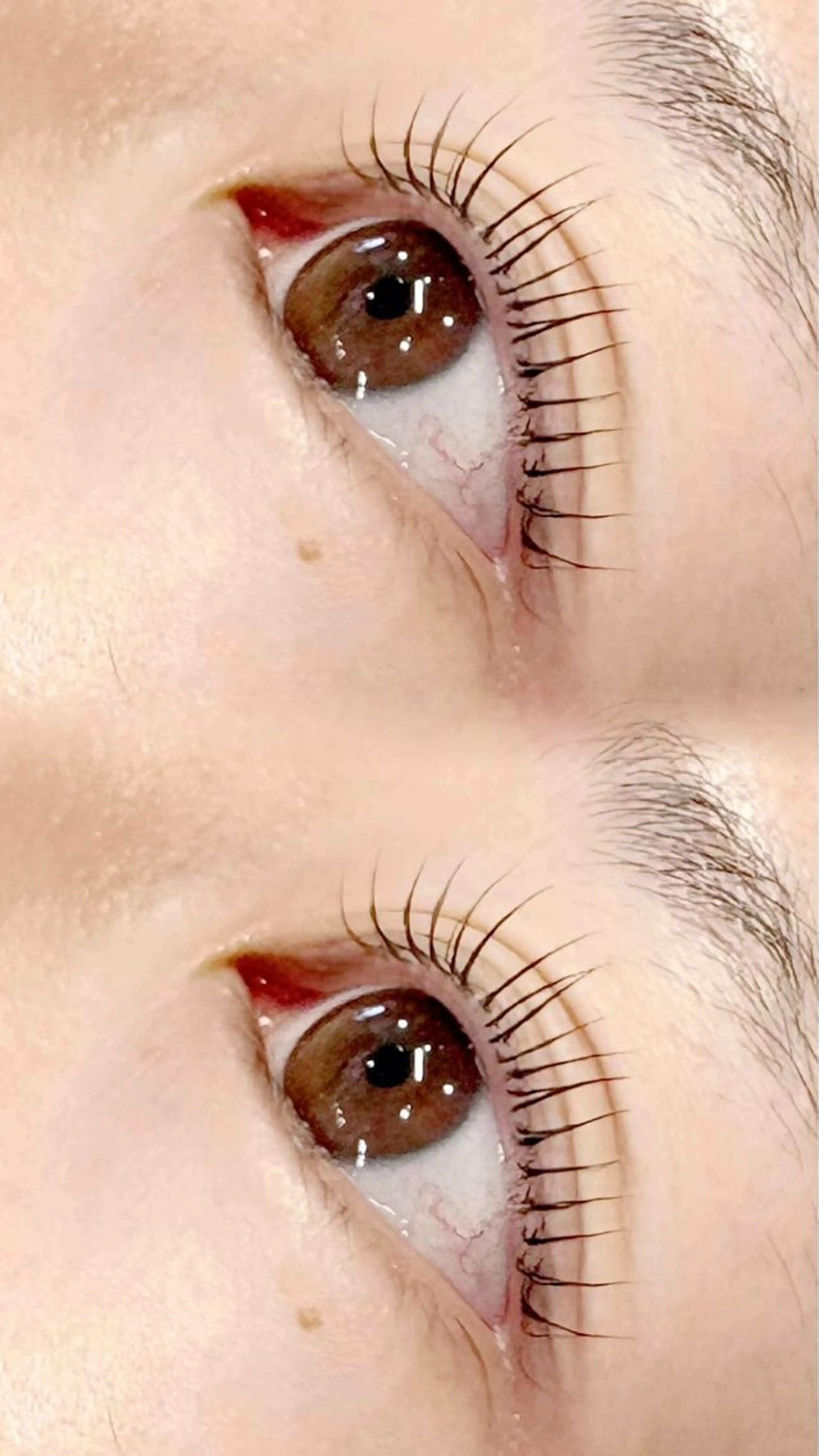 マツエク・マツパ マツパ cielo🦋 Takahashiのマツエク・マツパデザイン