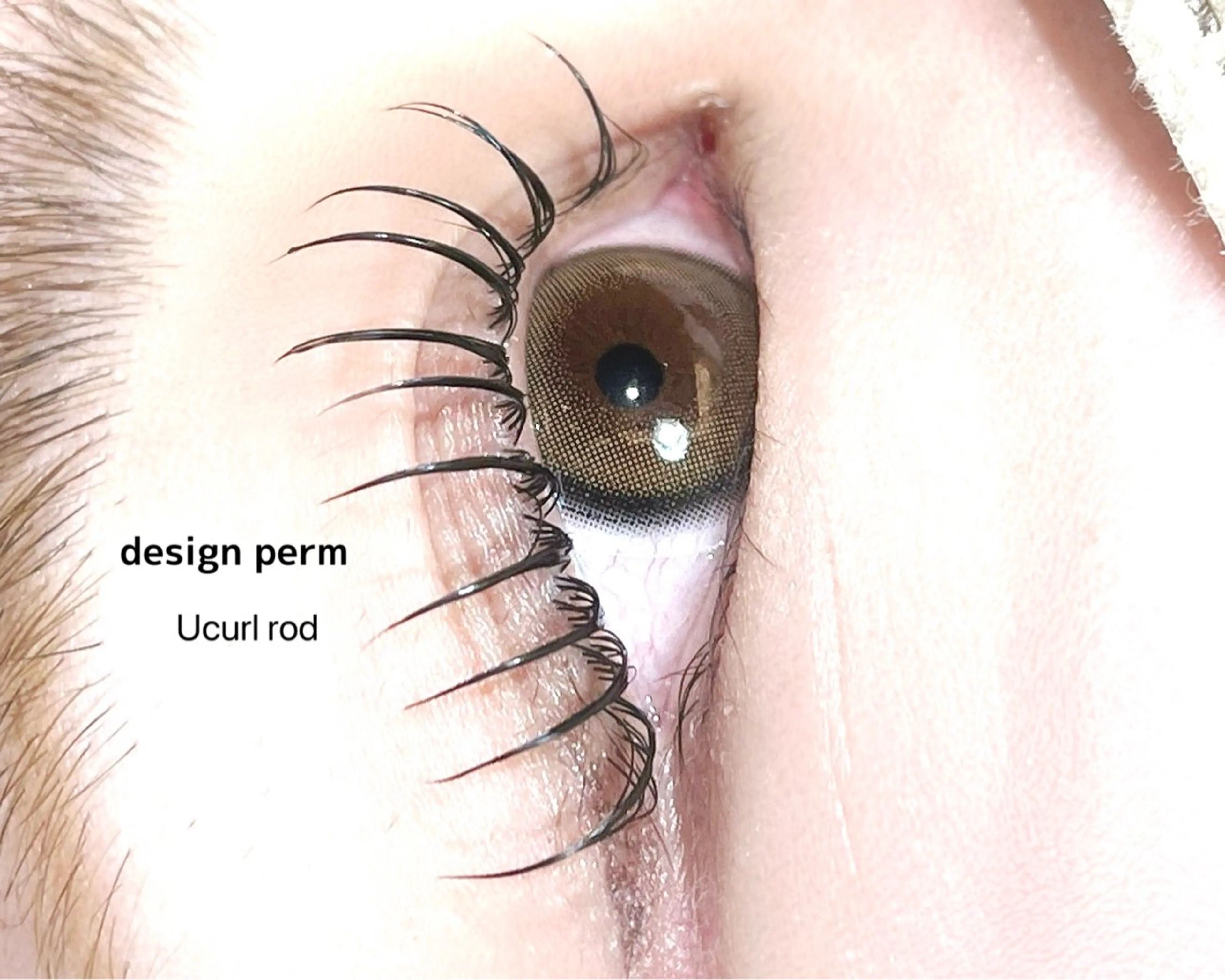 マツエク・マツパ SalonEF 名駅店所属・SalonEF 芽生/MEIのマツエク・マツパデザイン