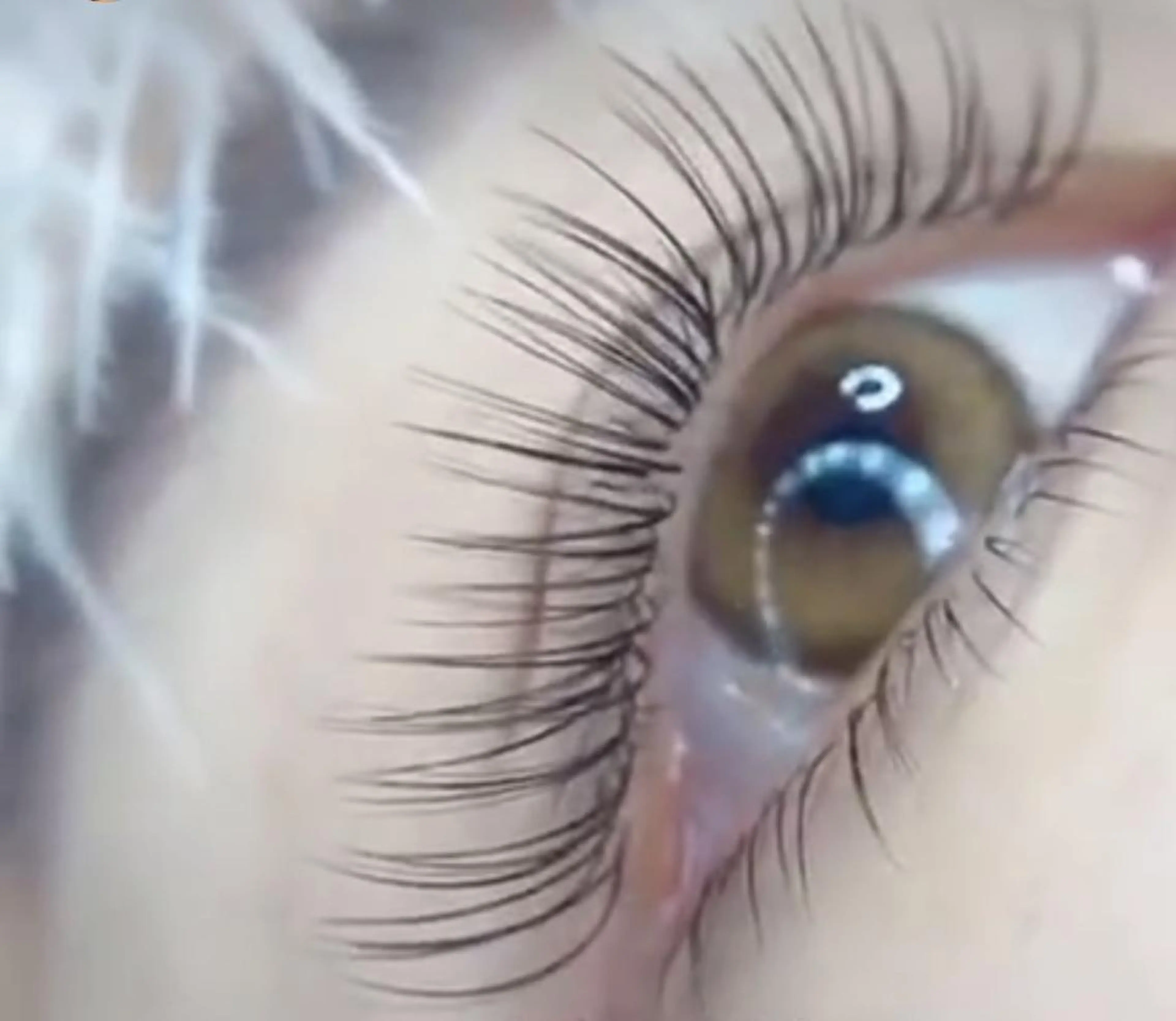 マツエク・マツパ マツエク Cute B e au t yのマツエク・マツパデザイン