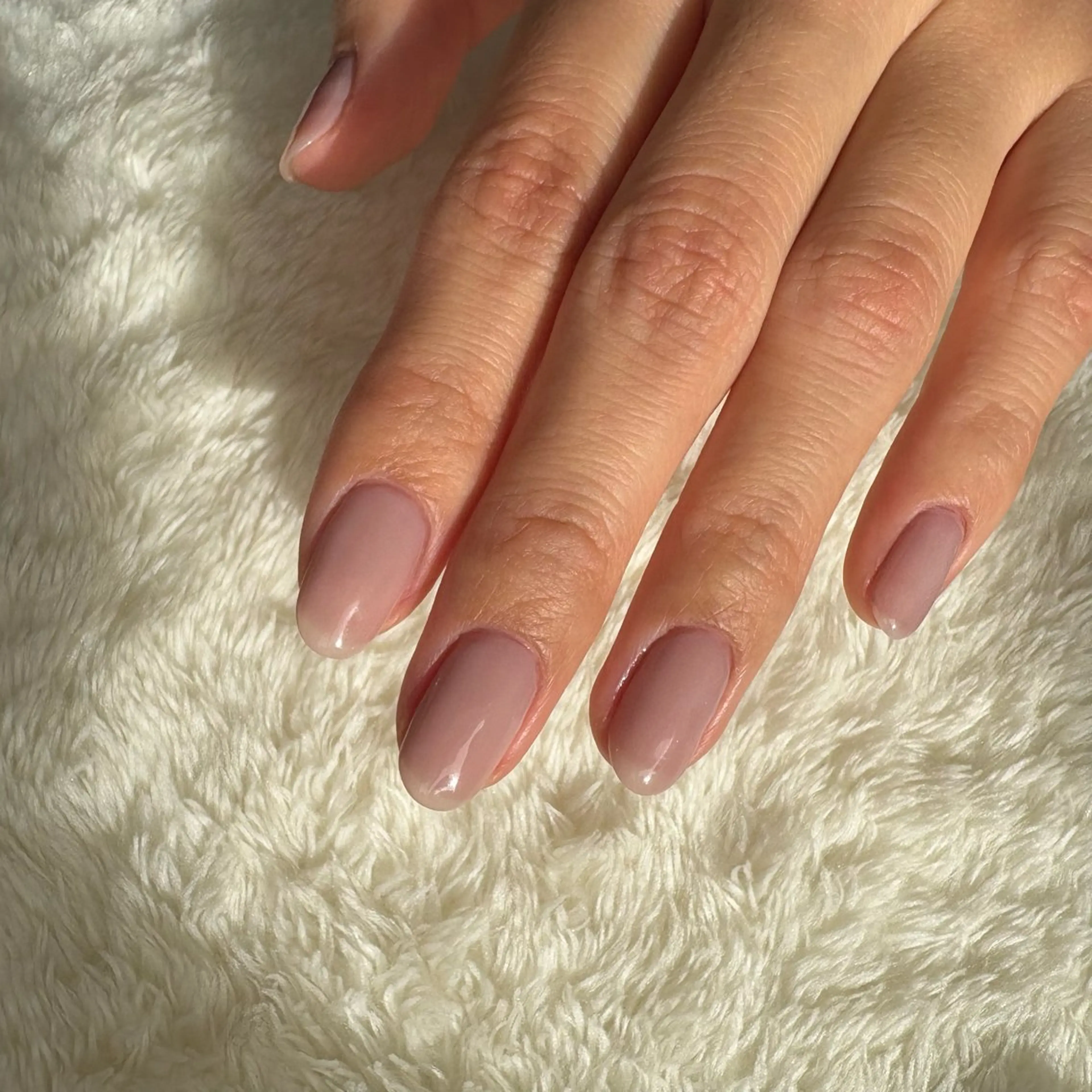 オフ無しワンカラーの写真