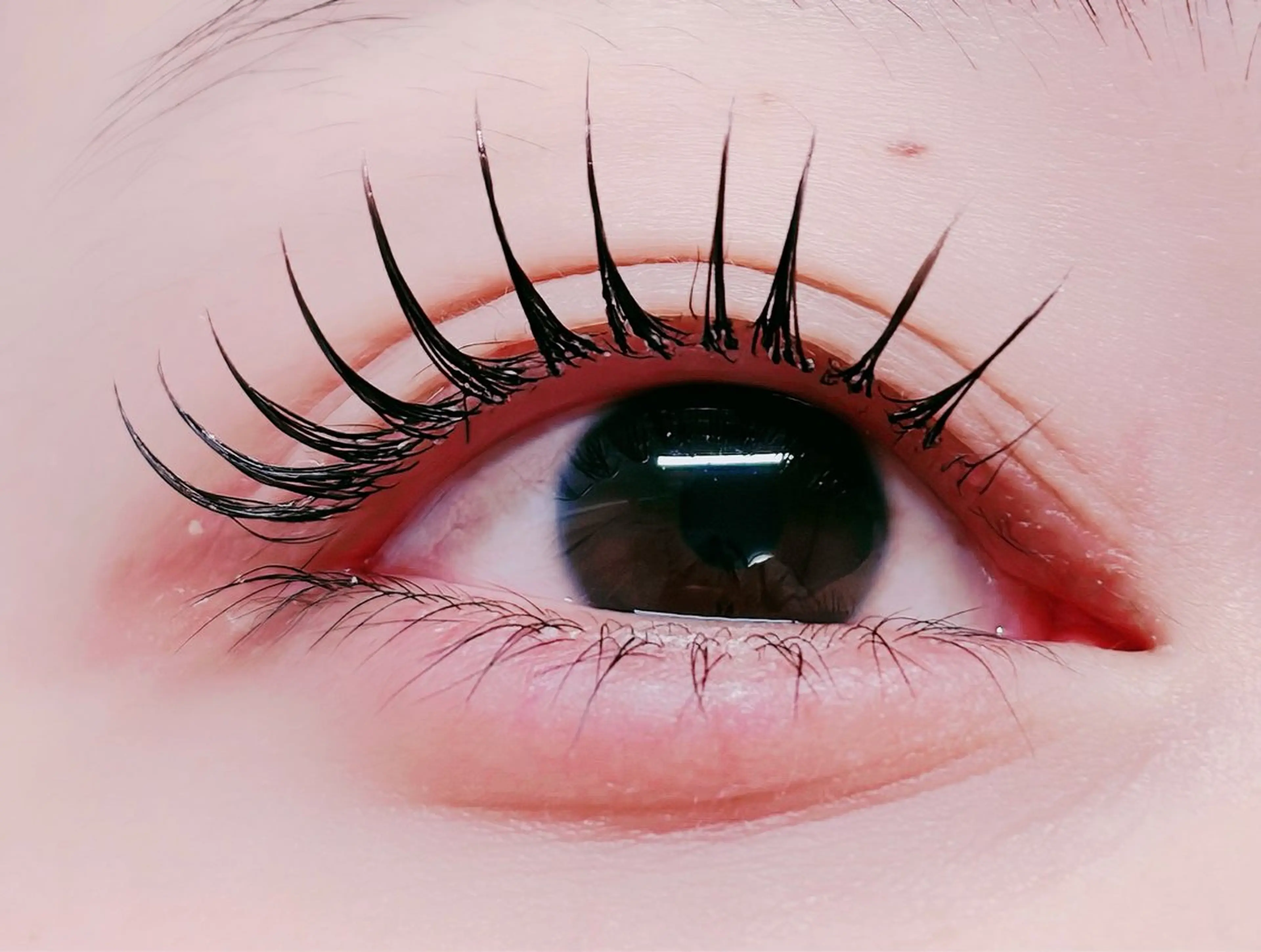 マツエク・マツパ フラットラッシュ マツエク ルチア所属・ルチア💞 luciaのマツエク・マツパデザイン