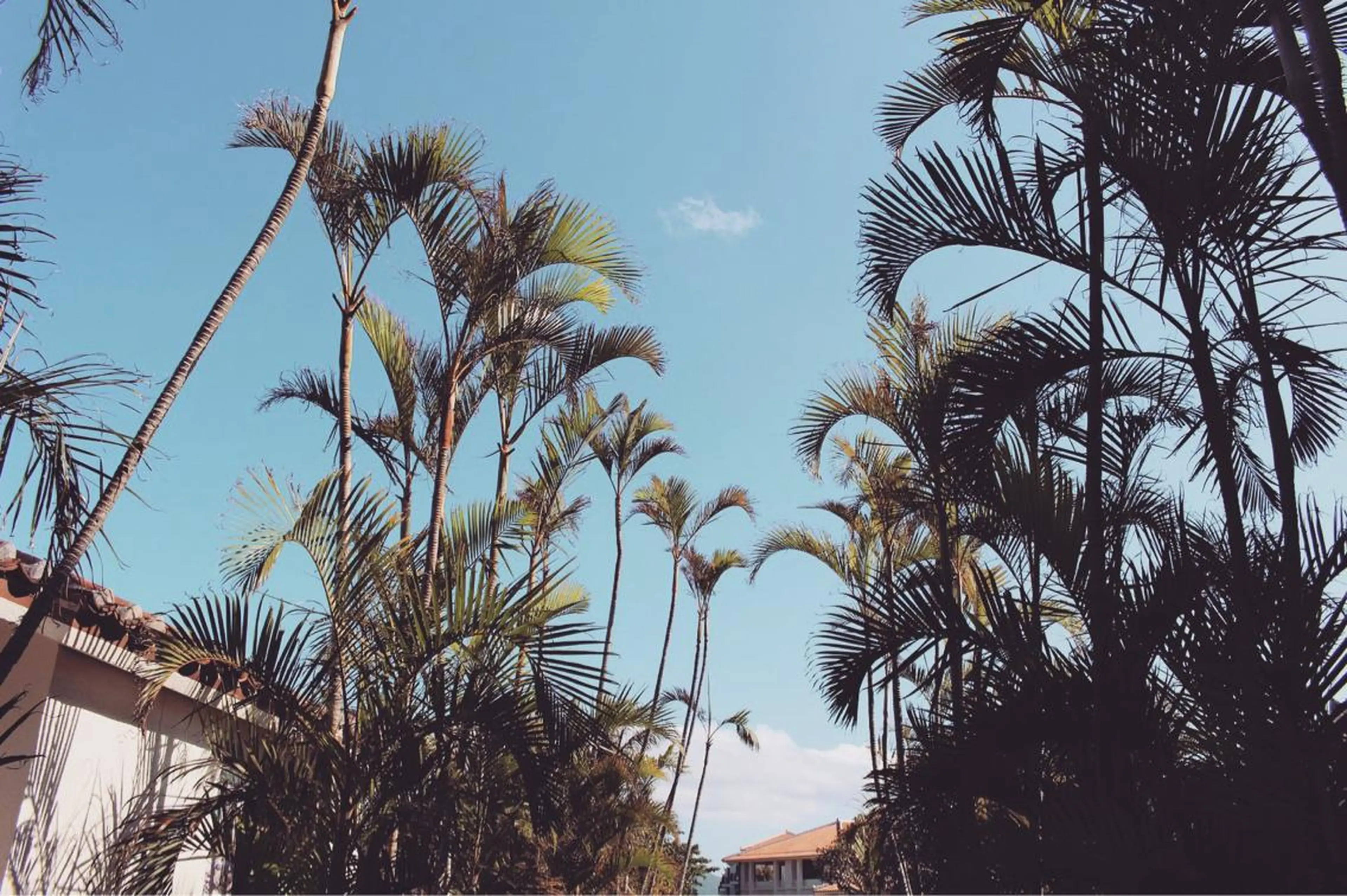 𝐘𝐎𝐒𝐇𝐈 𝐌𝐈🌞🏝のマツエク・マツパデザイン