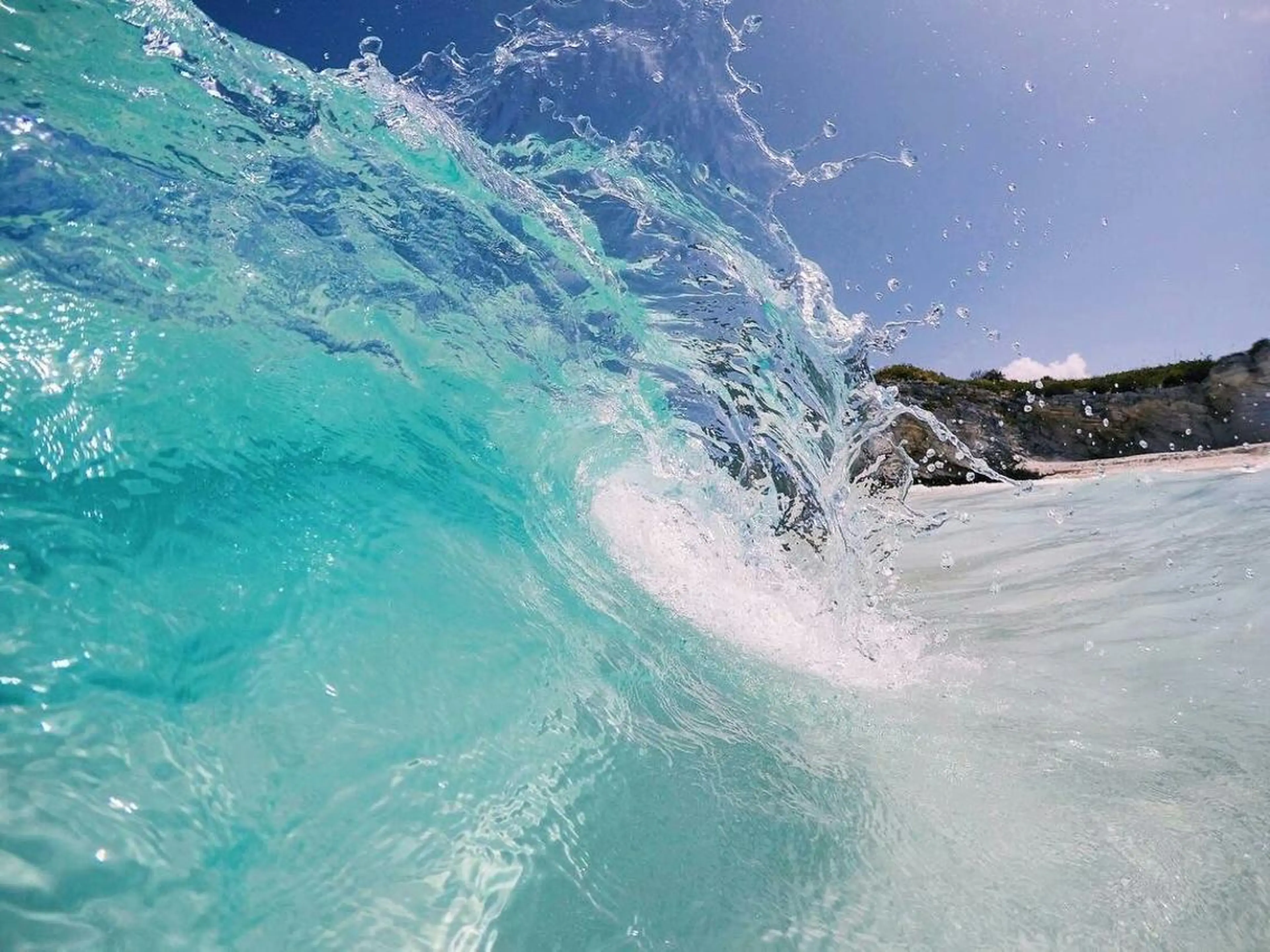 ๐๐๐๐๐ ๐๐๐๐ใฎใใใจใฏใปใใใใใถใคใณ