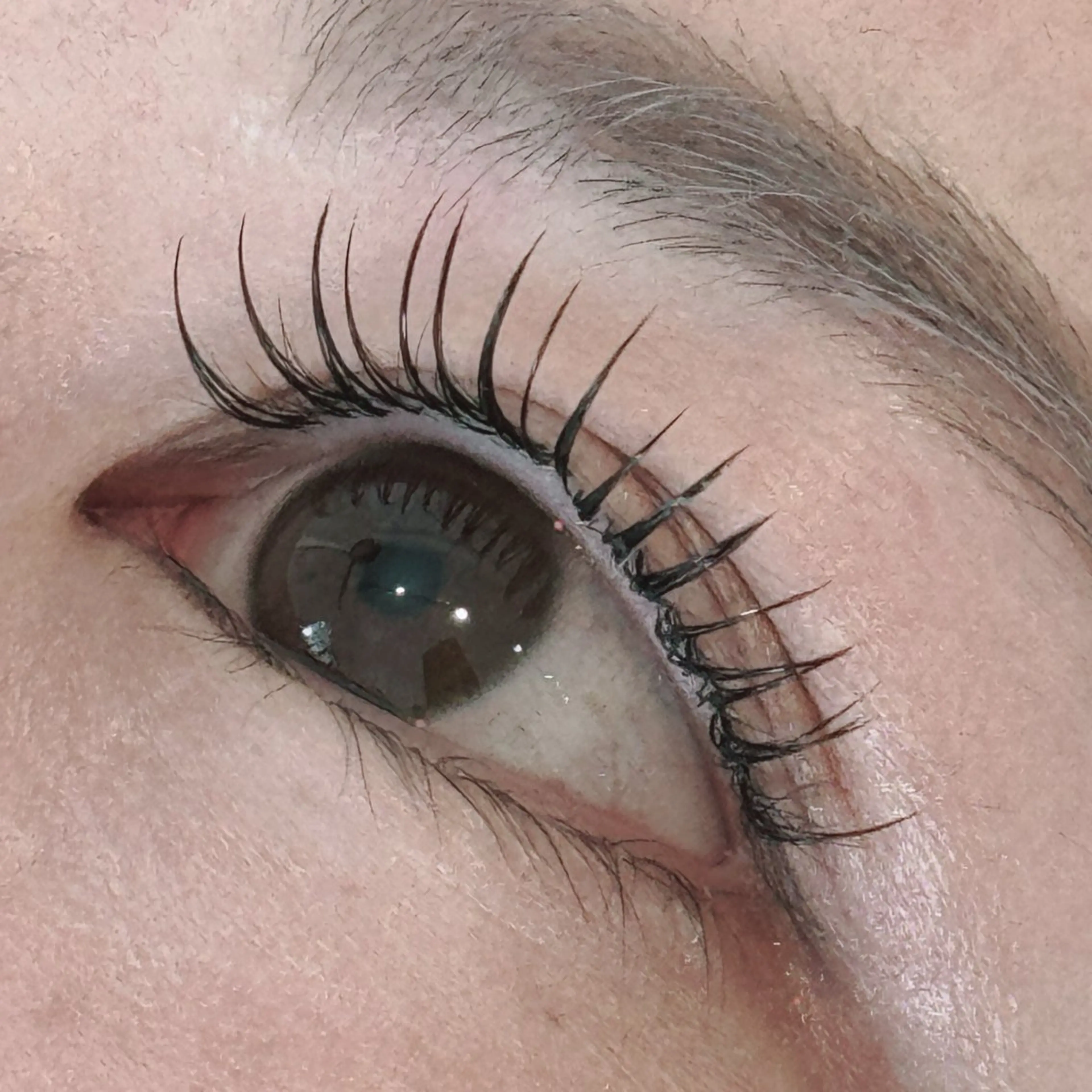 マツエク・マツパ August 大野のエステ・リラクイメージ