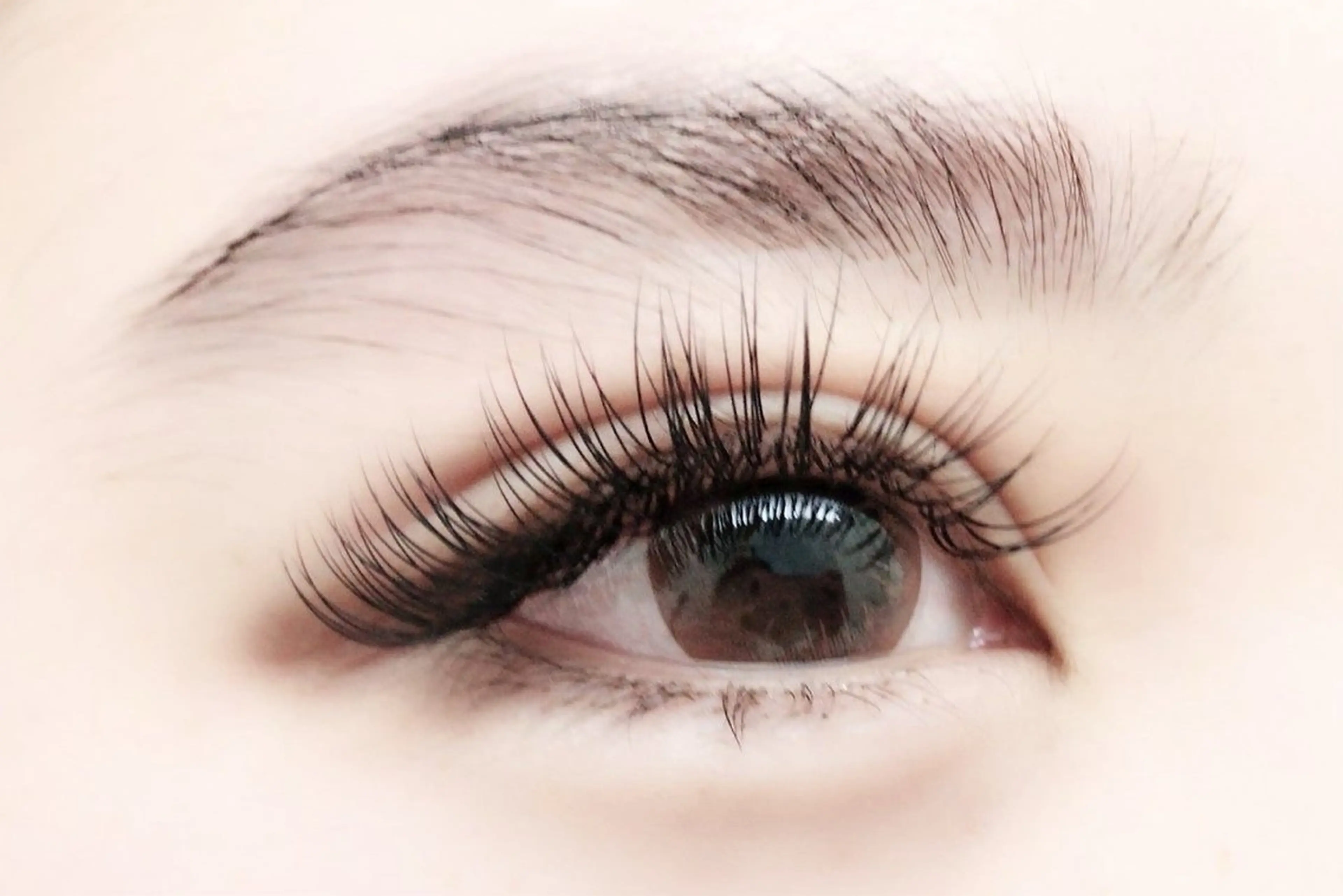 🌼バインドロック80束(フラットマットラッシュ160本相当)🌼の写真