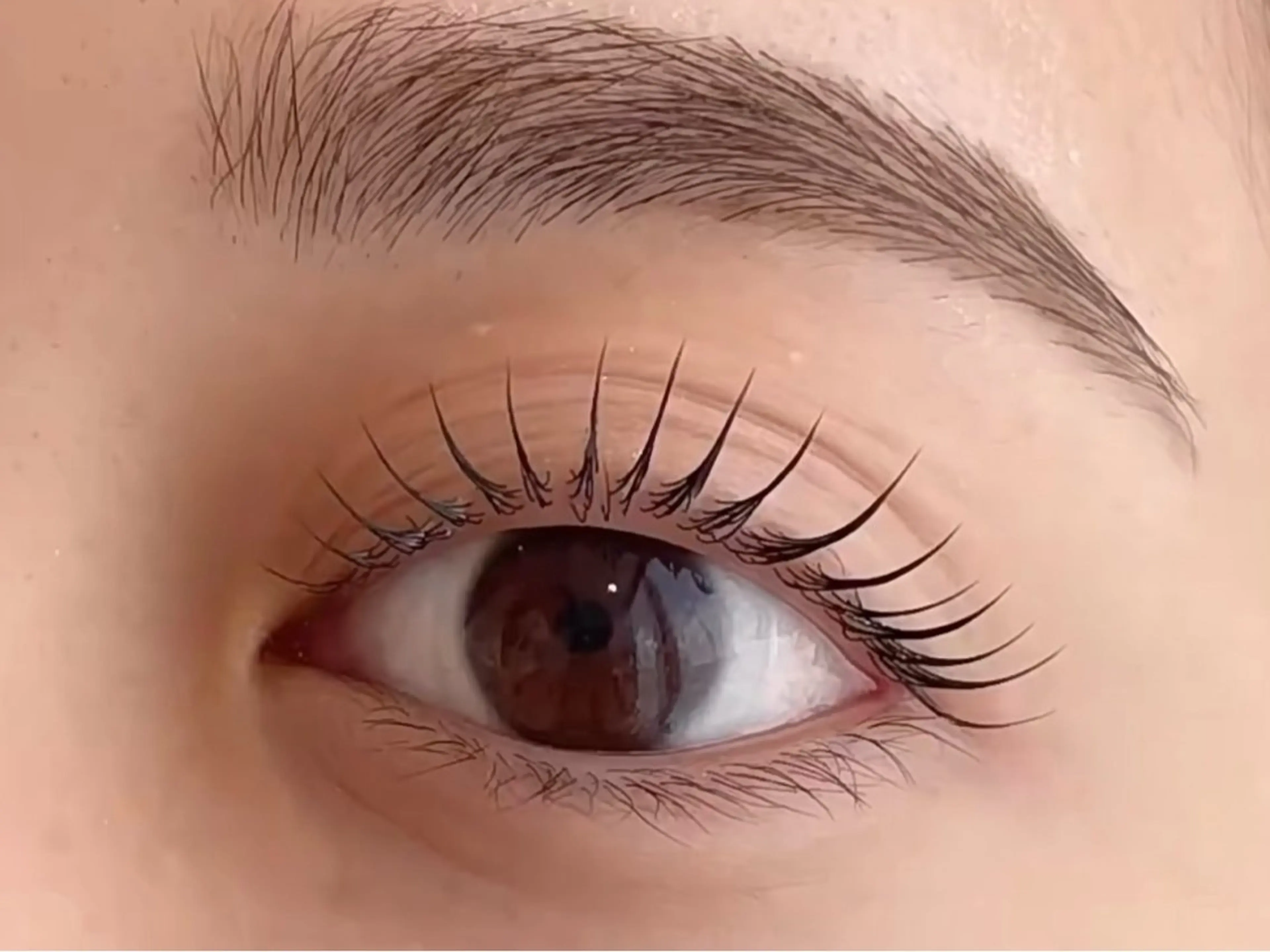 マツエク・マツパ 付け放題 バインドロック 束感まつ毛 カラーマツエク フラットラッシュ マツパ Ｍ salon アイラッシュのマツエク・マツパデザイン