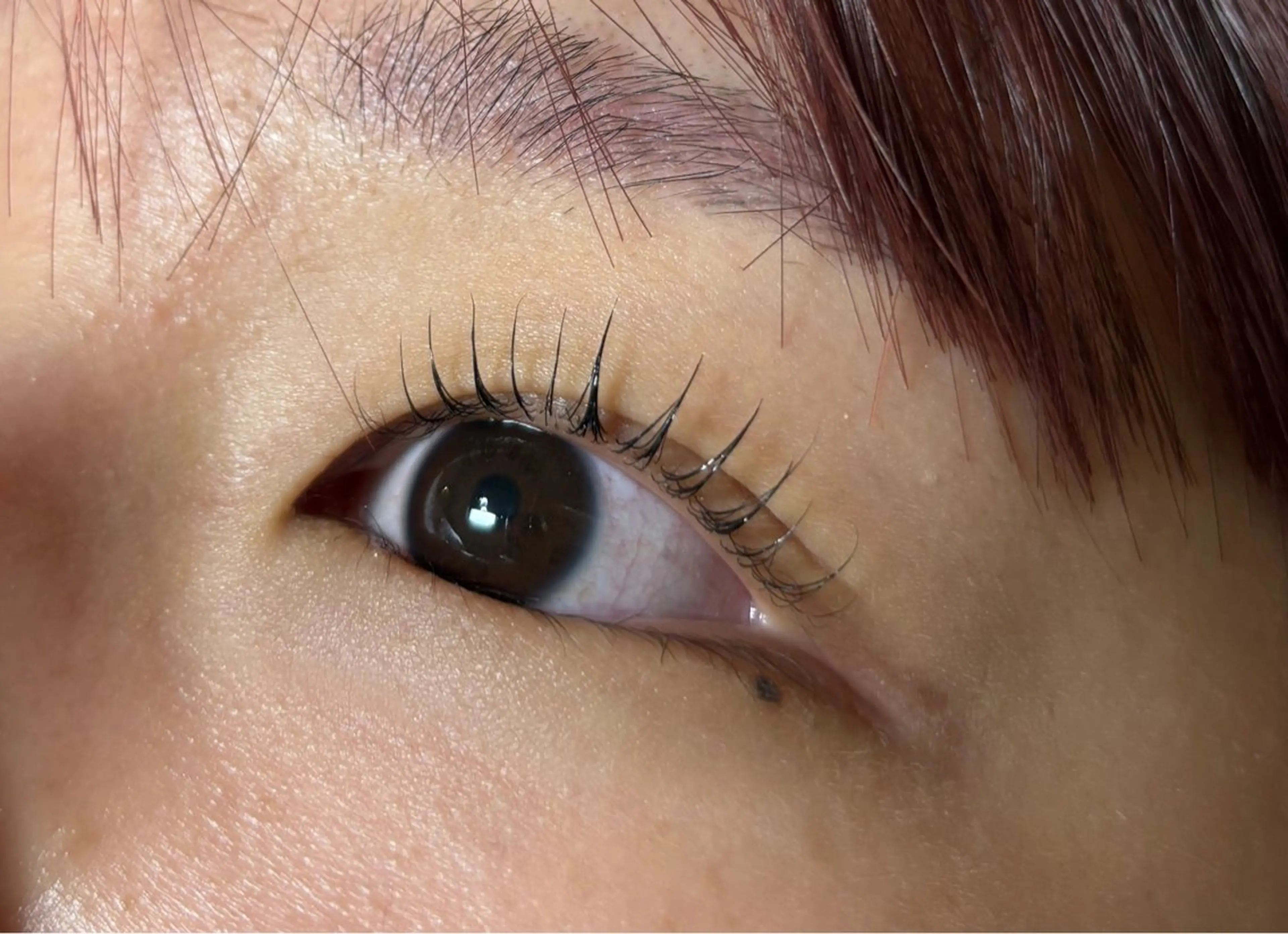 マツエク・マツパ eye lash  Lucia 難波所属・ひらおか ういの眉毛・アイブロウイメージ