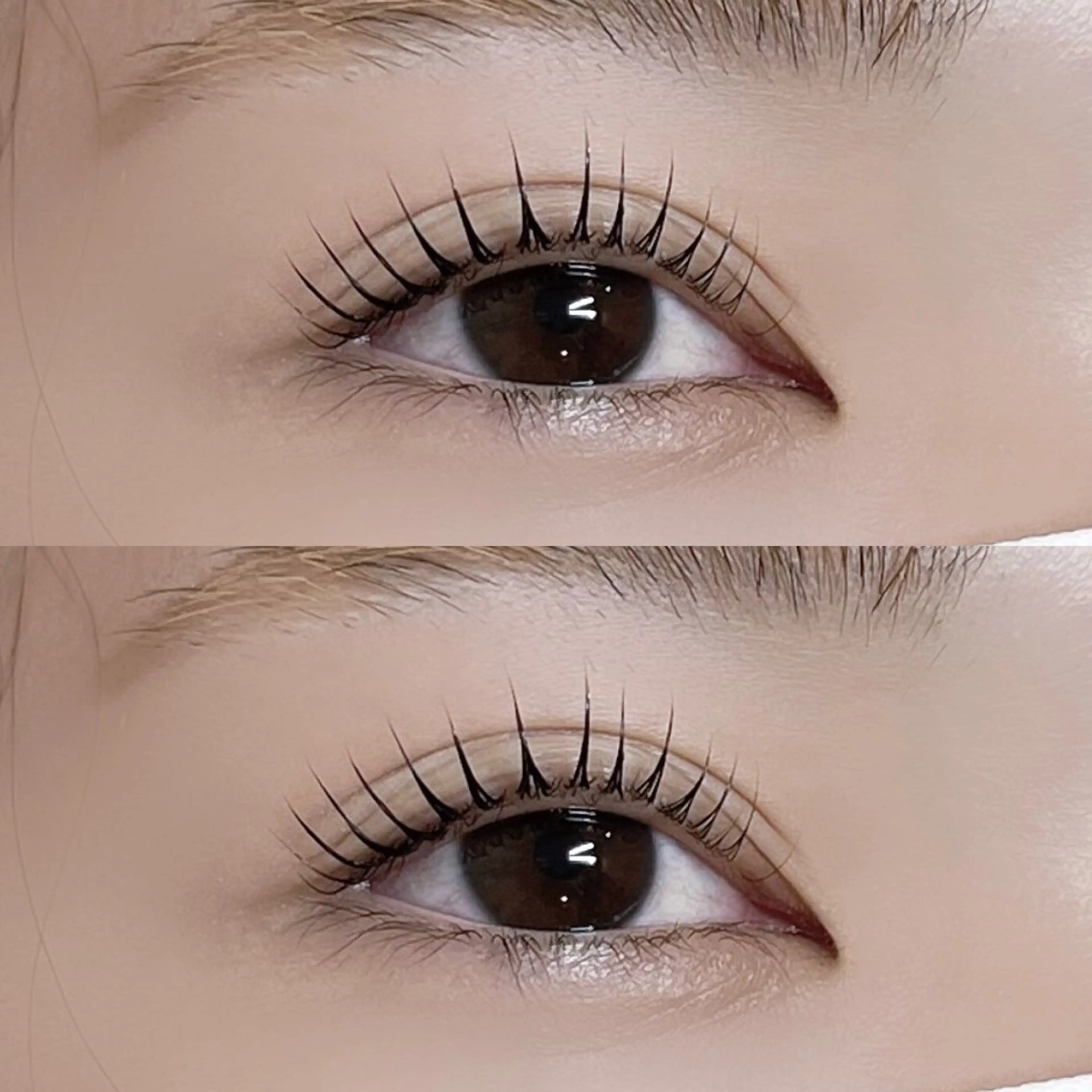 🌷パリジェンヌラッシュリフト🌷⚠️注意事項を必ずご確認ください⚠️の写真