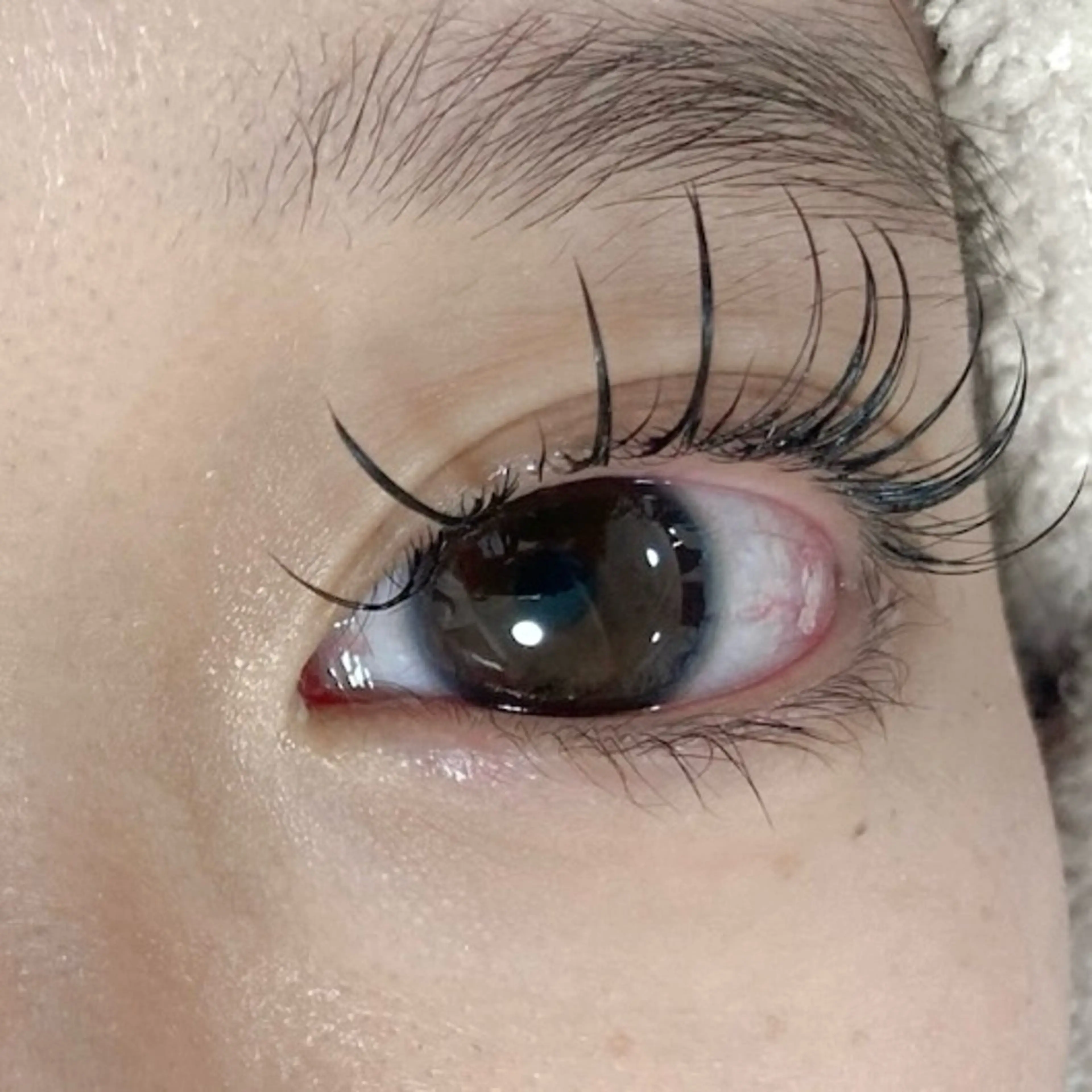 【まつげエクステ＋アイシャンプー🤍𐙚】- ̗̀⚠︎ ̖́-詳細を必ずお読み下さい！！の写真
