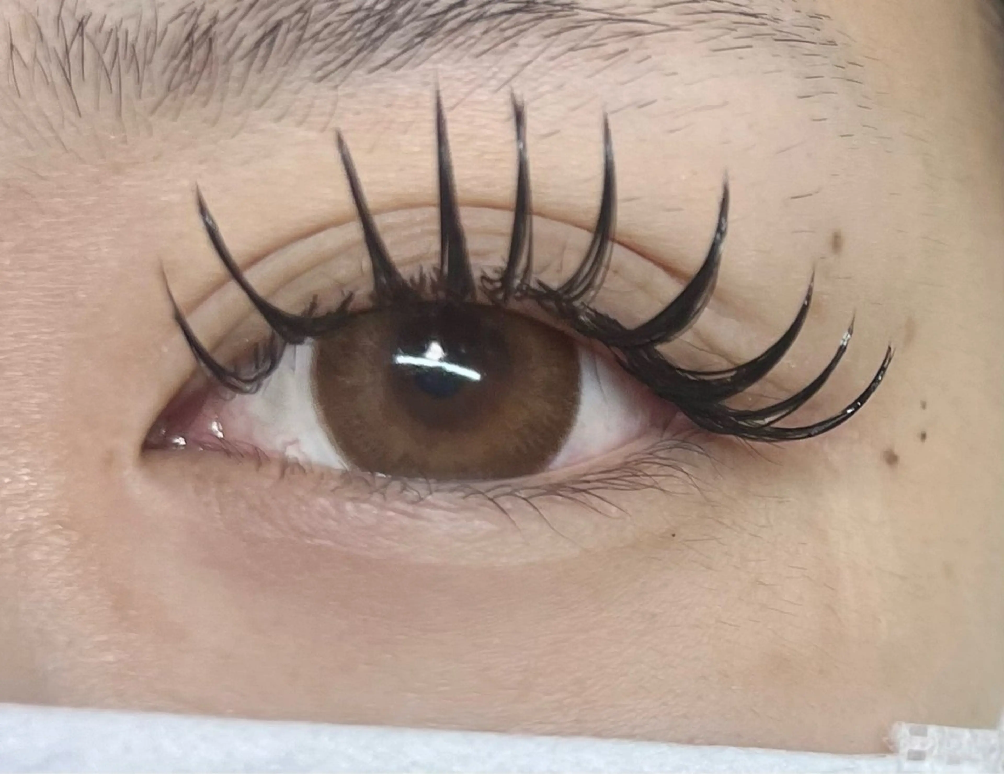 マツエク・マツパ バインドロック マツエク Celeste Venus所属・🧸Celeste Venusのマツエク・マツパデザイン