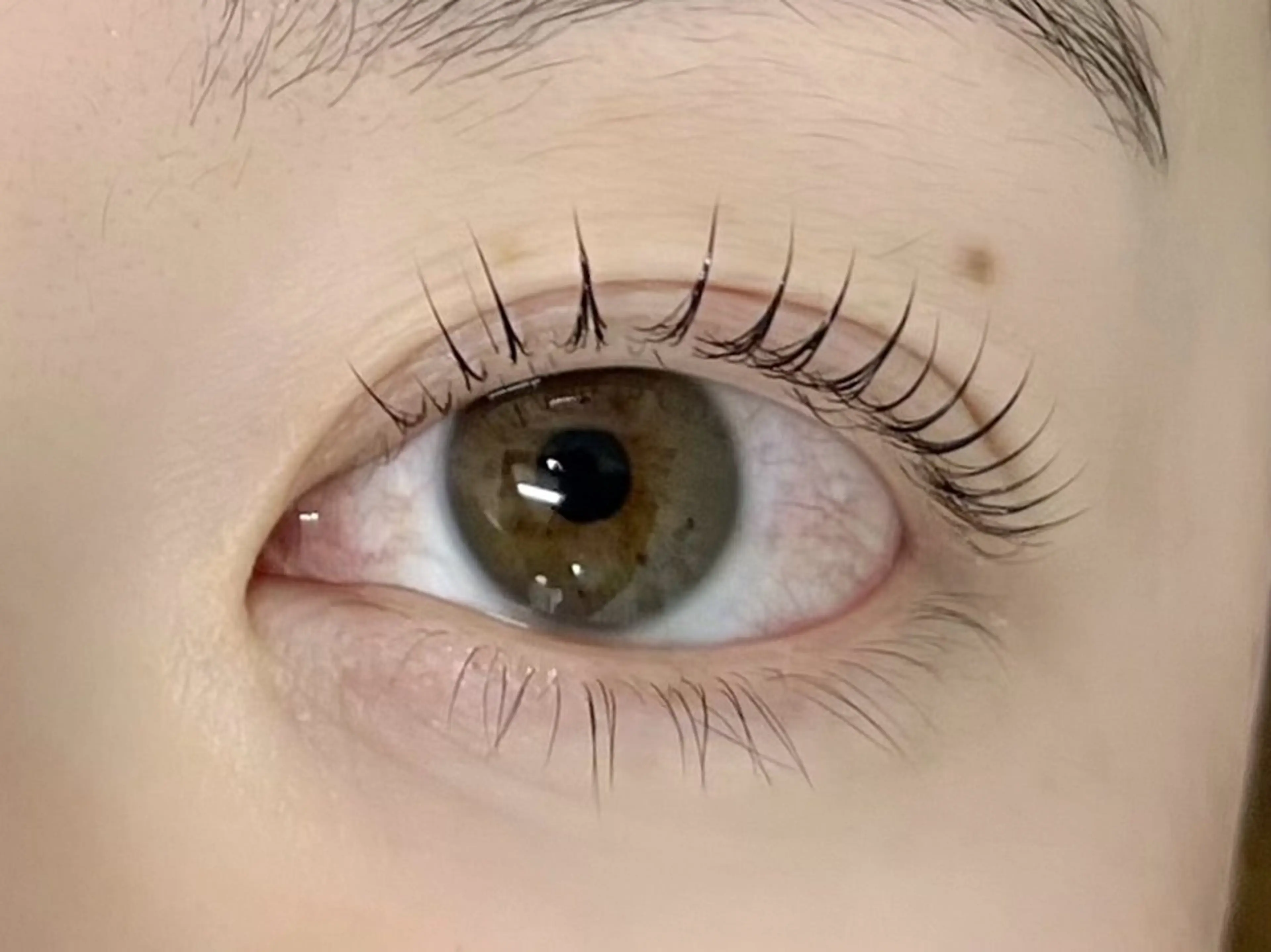 まつ毛パーマ✨の写真