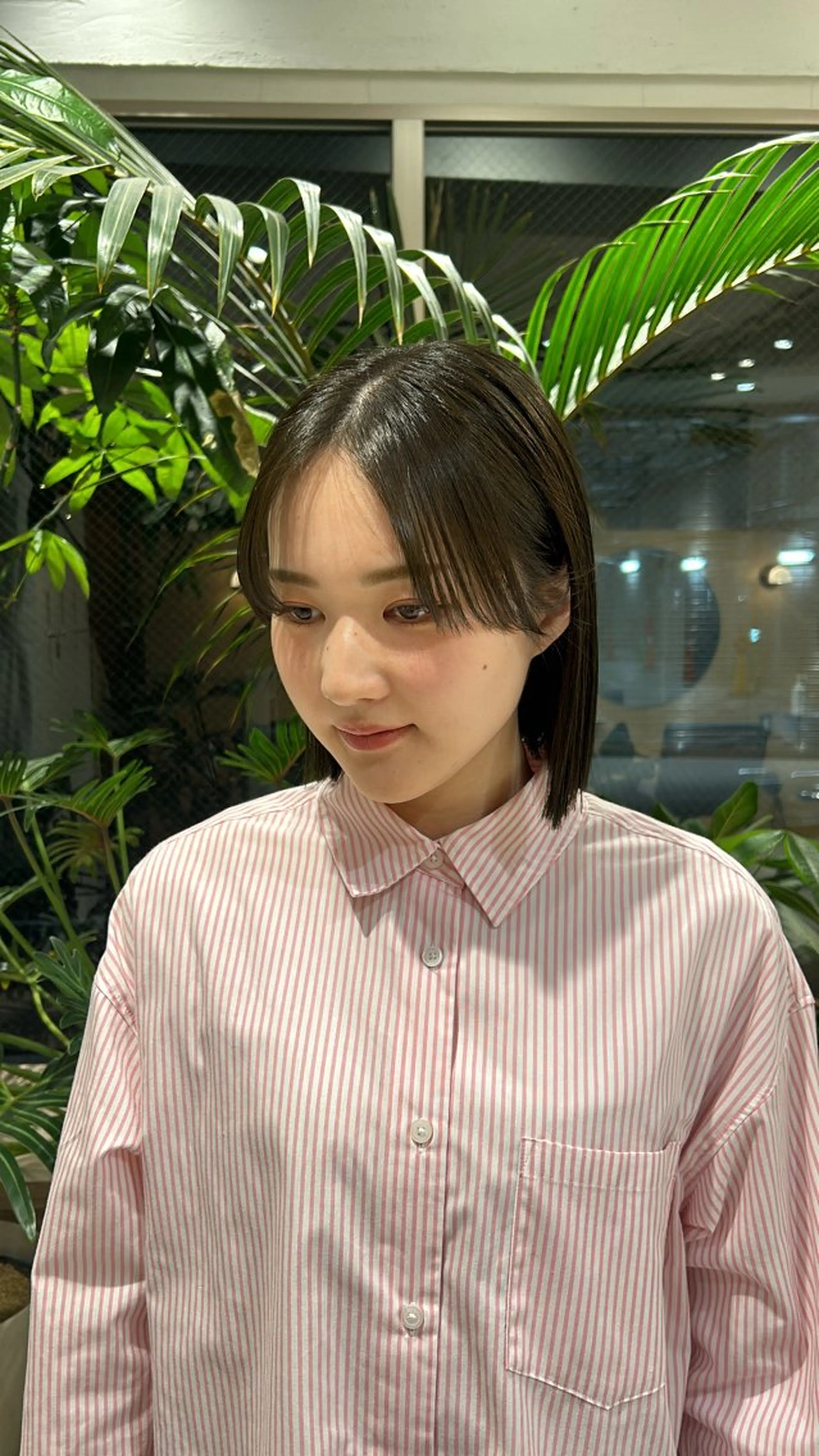 ショート カラー カット 🦖ミニボブ/ボブ /MOEKA🦕のヘアスタイル