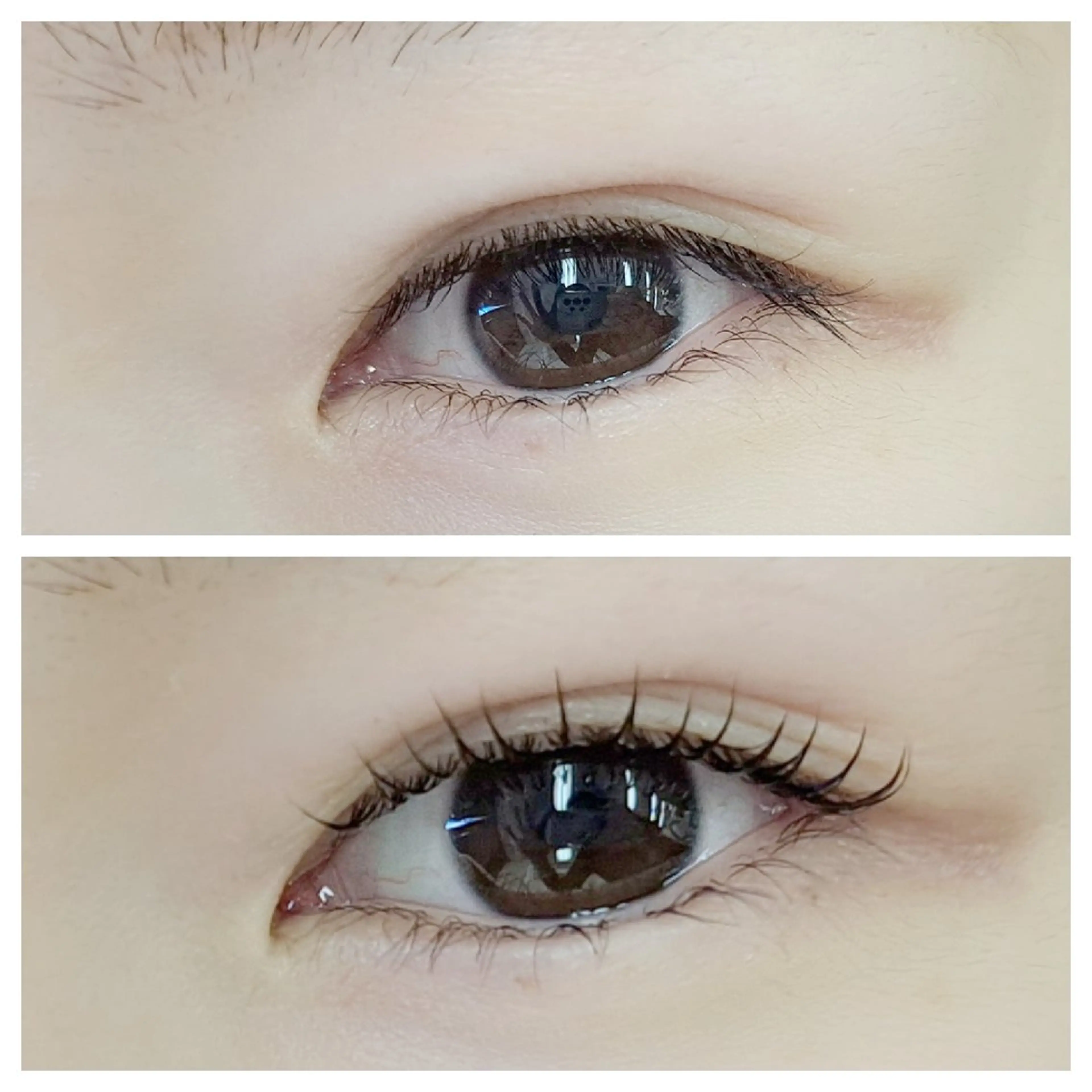 マツエク・マツパ cocolash　町屋店所属・cocolash 🧸のマツエク・マツパデザイン