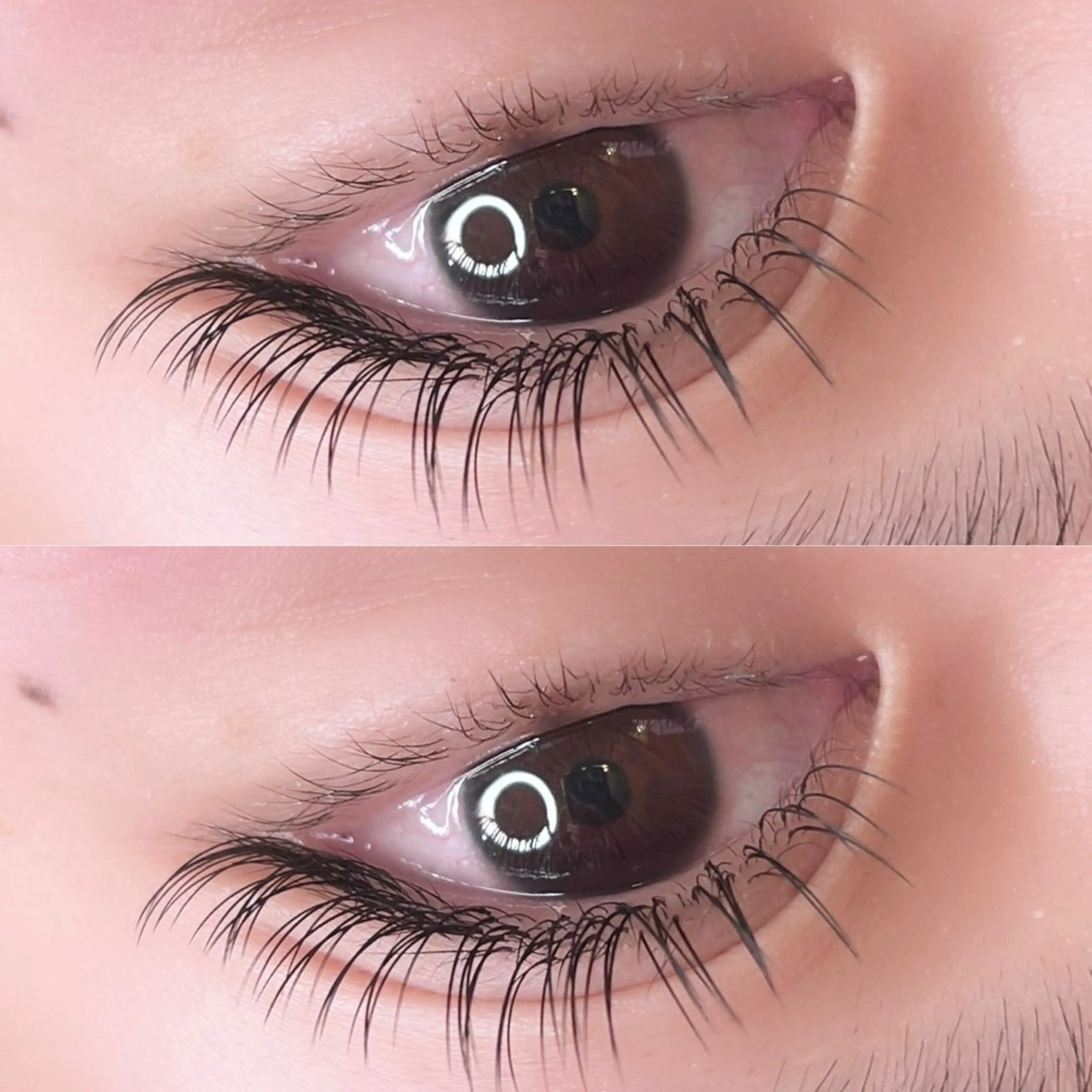 マツエク・マツパ マツエク 【ｉｒｏｋａ】 AYAKAのマツエク・マツパデザイン