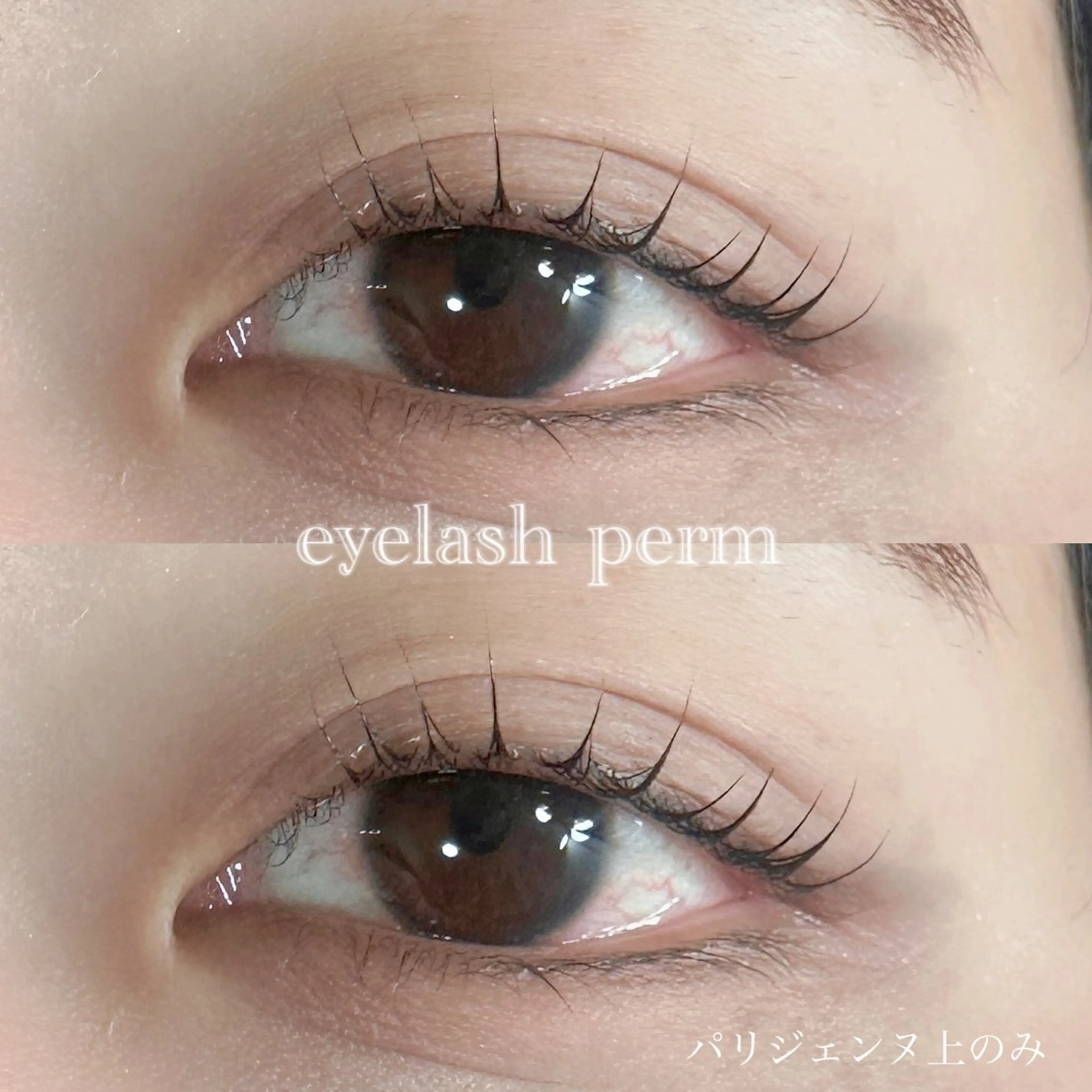 マツエク・マツパ マリーテレジア 🪽BANNOのマツエク・マツパデザイン