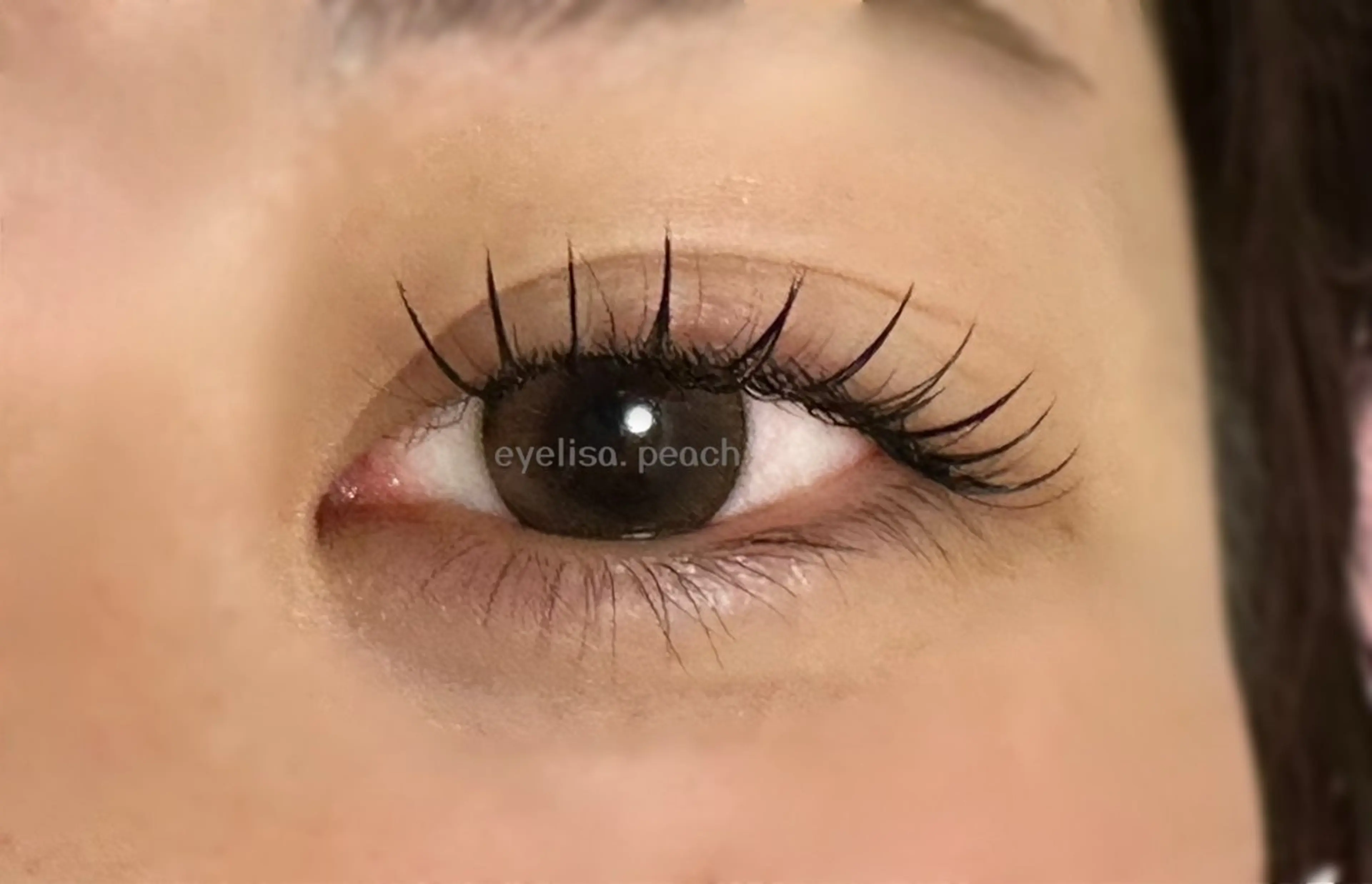 マツエク・マツパ Lカール Salon　Peach所属・Peach あんずのマツエク・マツパデザイン