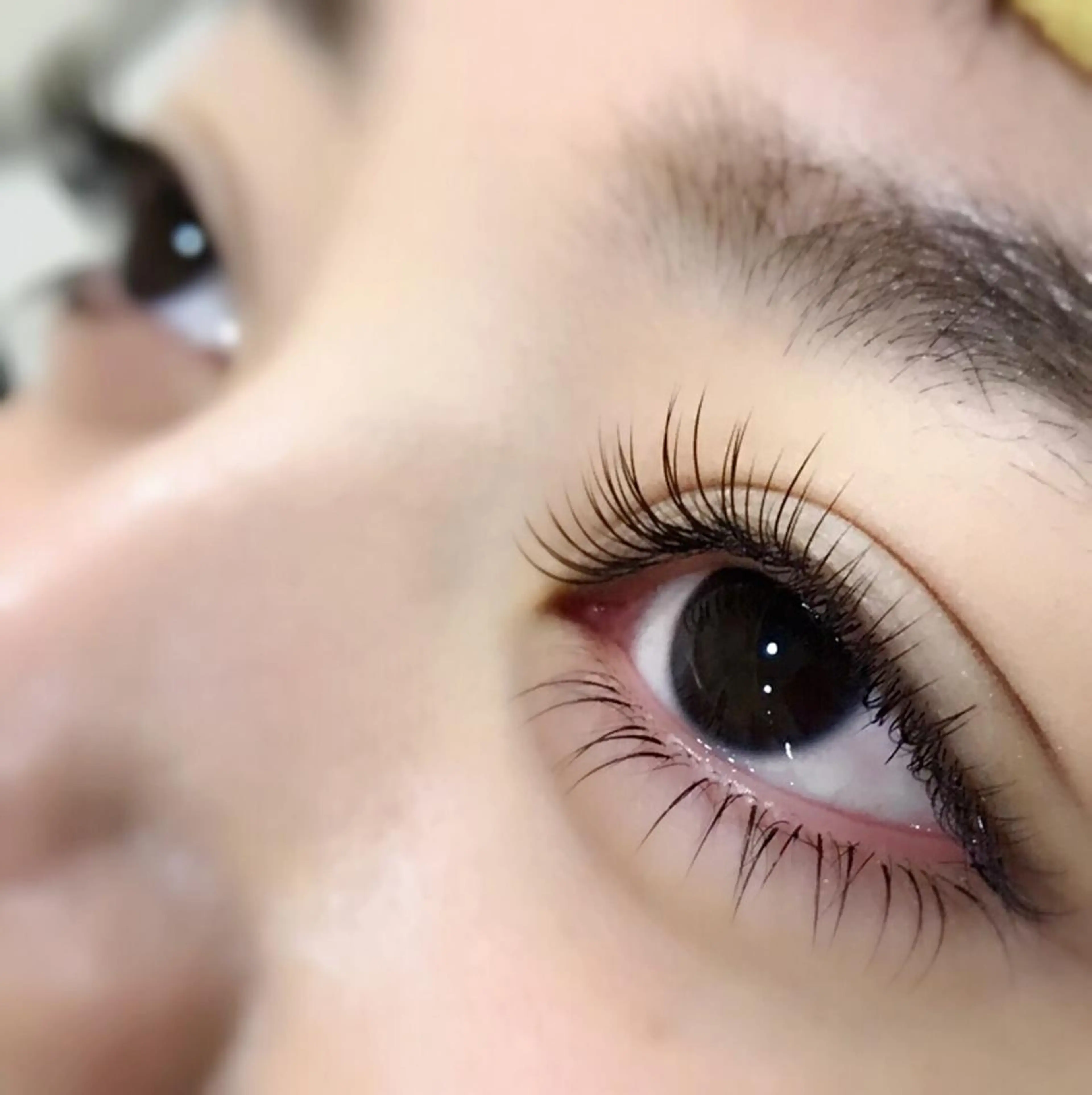 マツエク・マツパ 下まつげエクステ Ray+beauty 中央橋店の眉毛・アイブロウイメージ