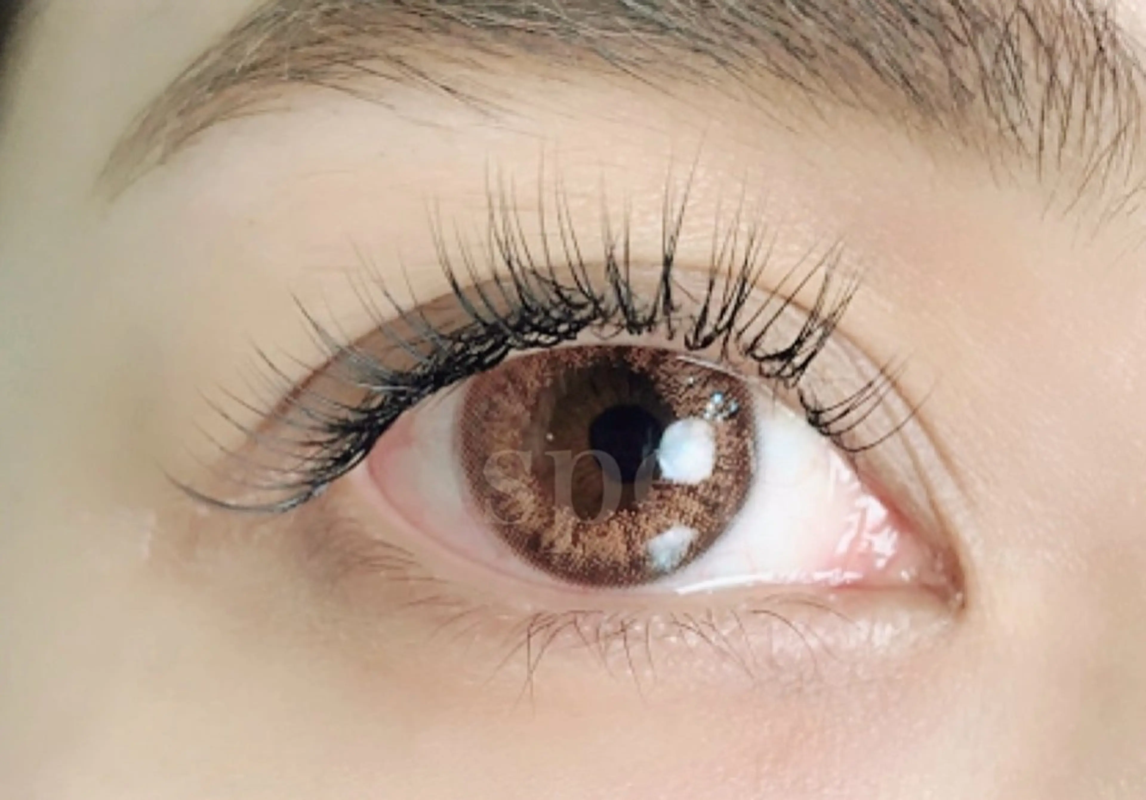 マツエク・マツパ spell_eyelash所属・spell eyelashのマツエク・マツパデザイン