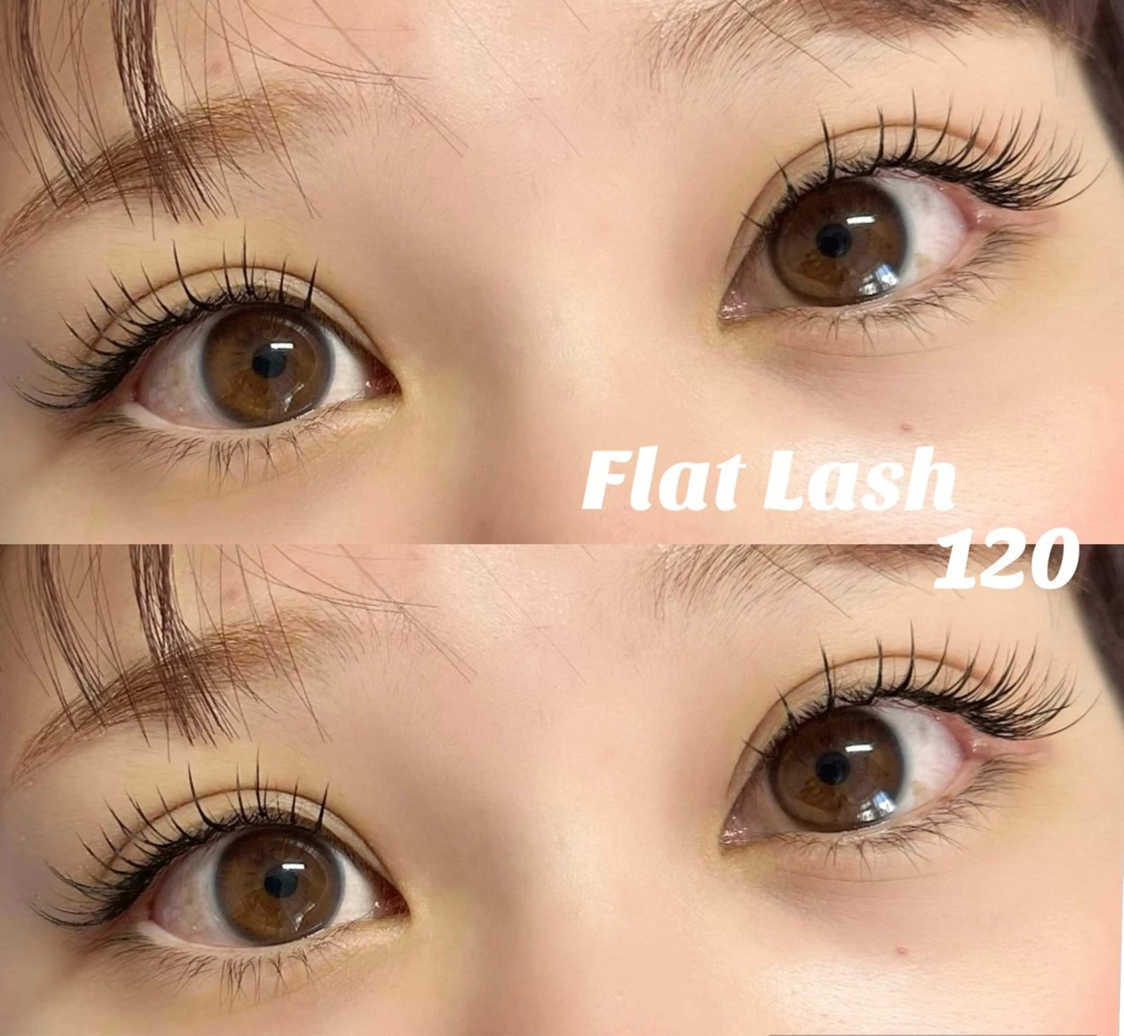 【リピーター様】当店付け替えオフ込⭐️フラットラッシュ120本👀アイシャンプー付き♡の写真