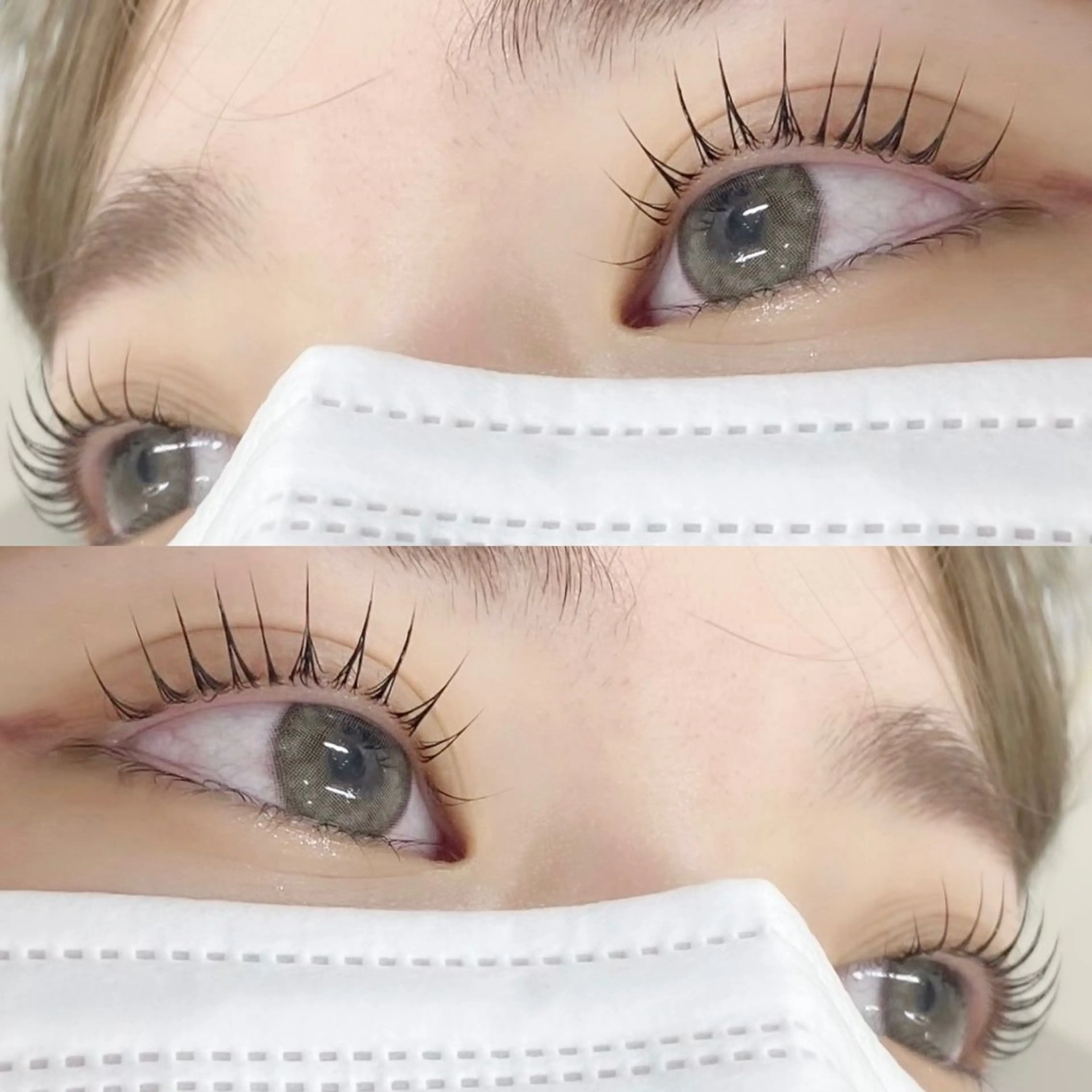 マツエク・マツパ 🌼Alba🌼 犬馬塲のマツエク・マツパデザイン