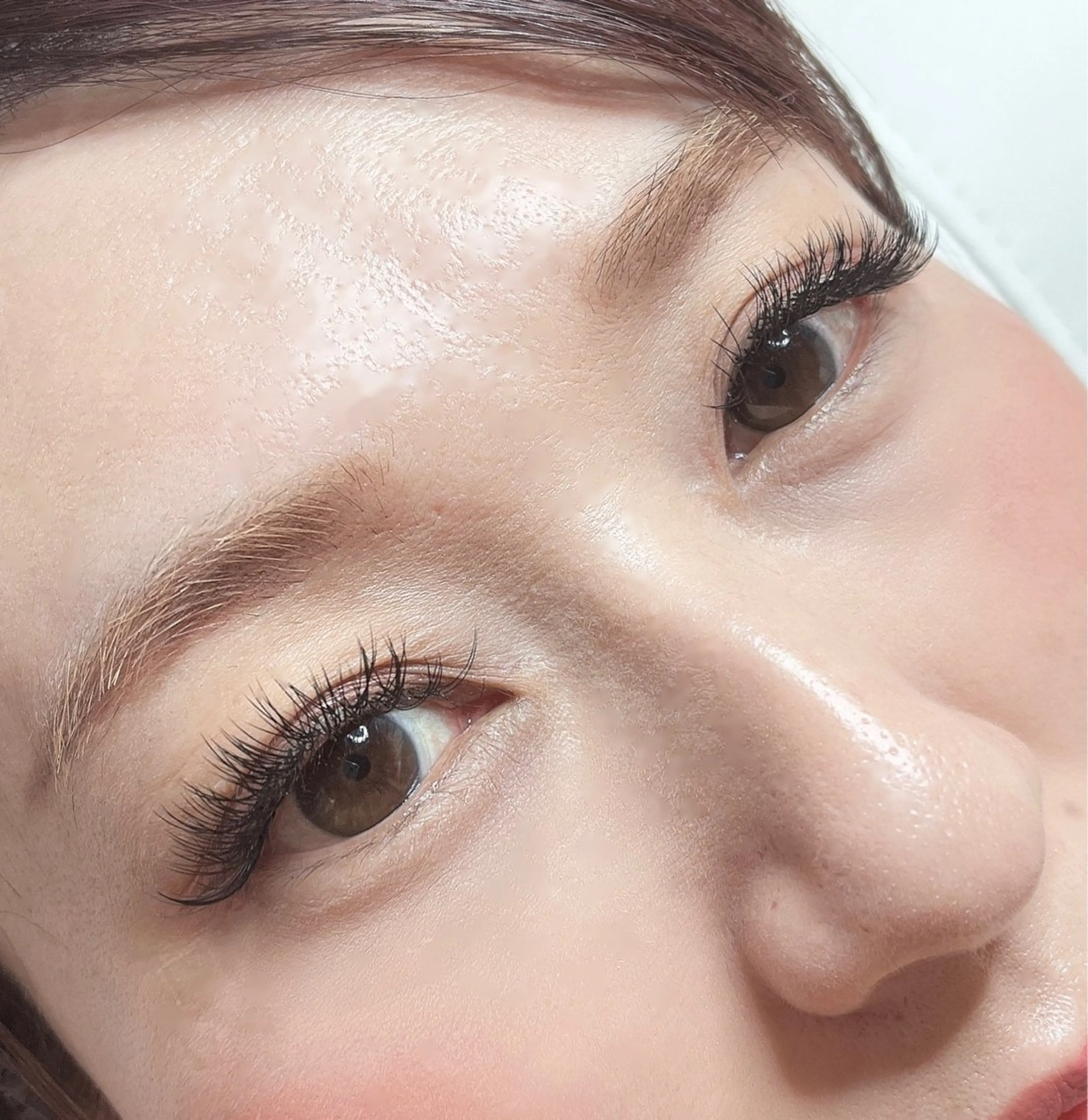 【15.16日限定クーポン!!】ダブルフラット120束(240本)の写真