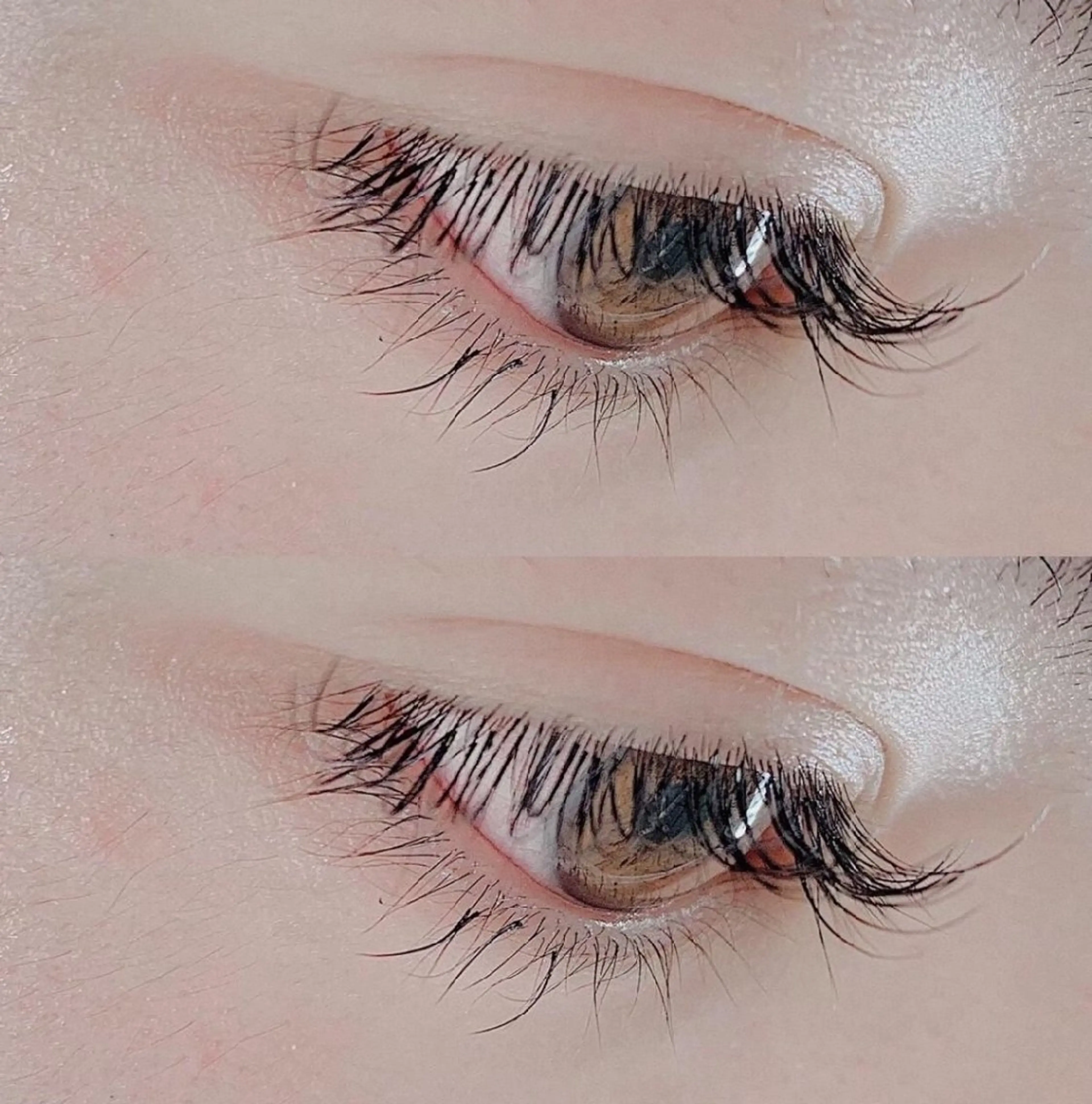 マツエク👁100本(期間限定)2750円😎😎新規様のみですの写真