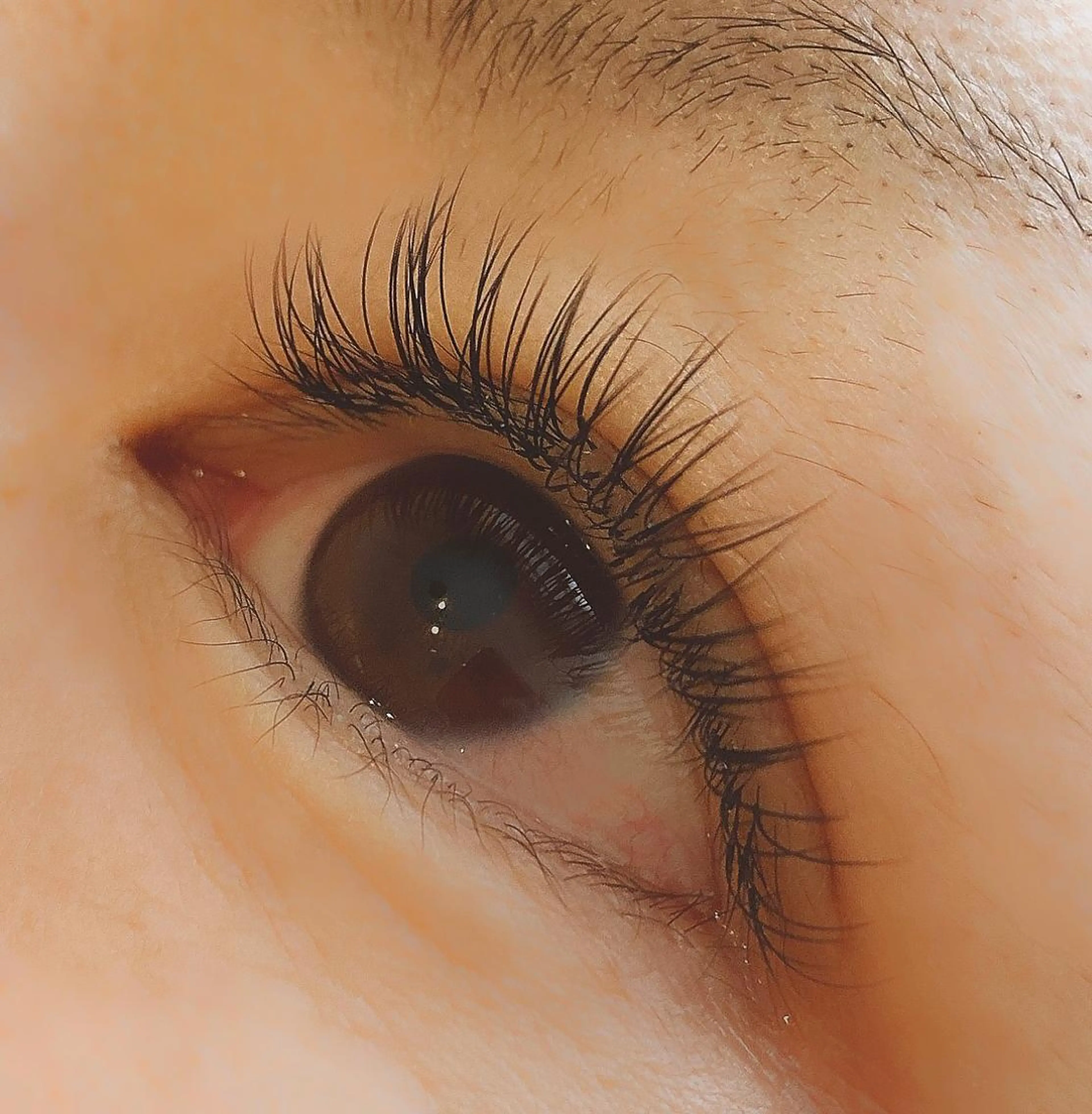 マツエク・マツパ 付け放題 Cカール フラットラッシュ L'Allure所属・野上 好乃のマツエク・マツパデザイン