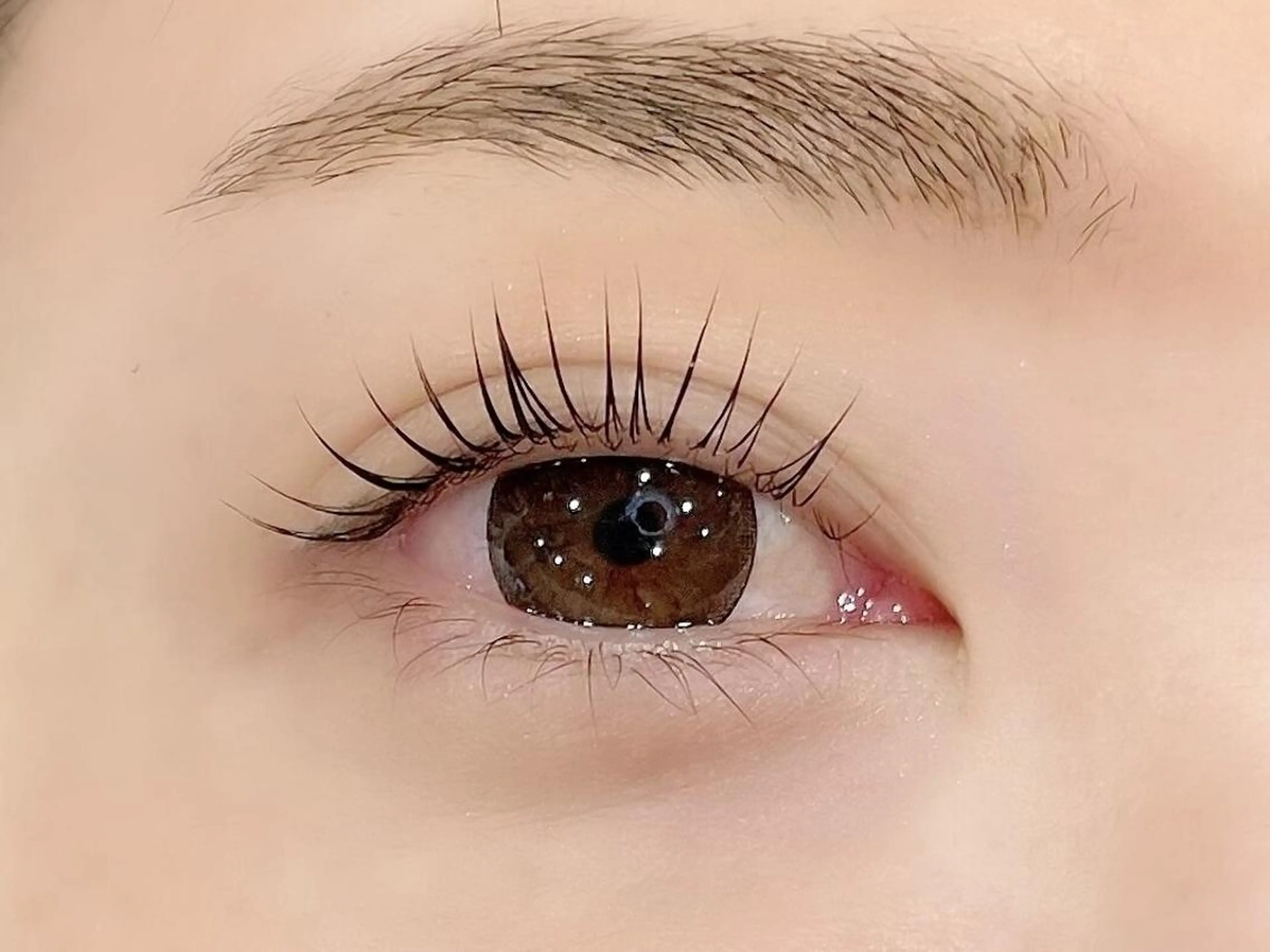 パリジェンヌラッシュリフト上の写真