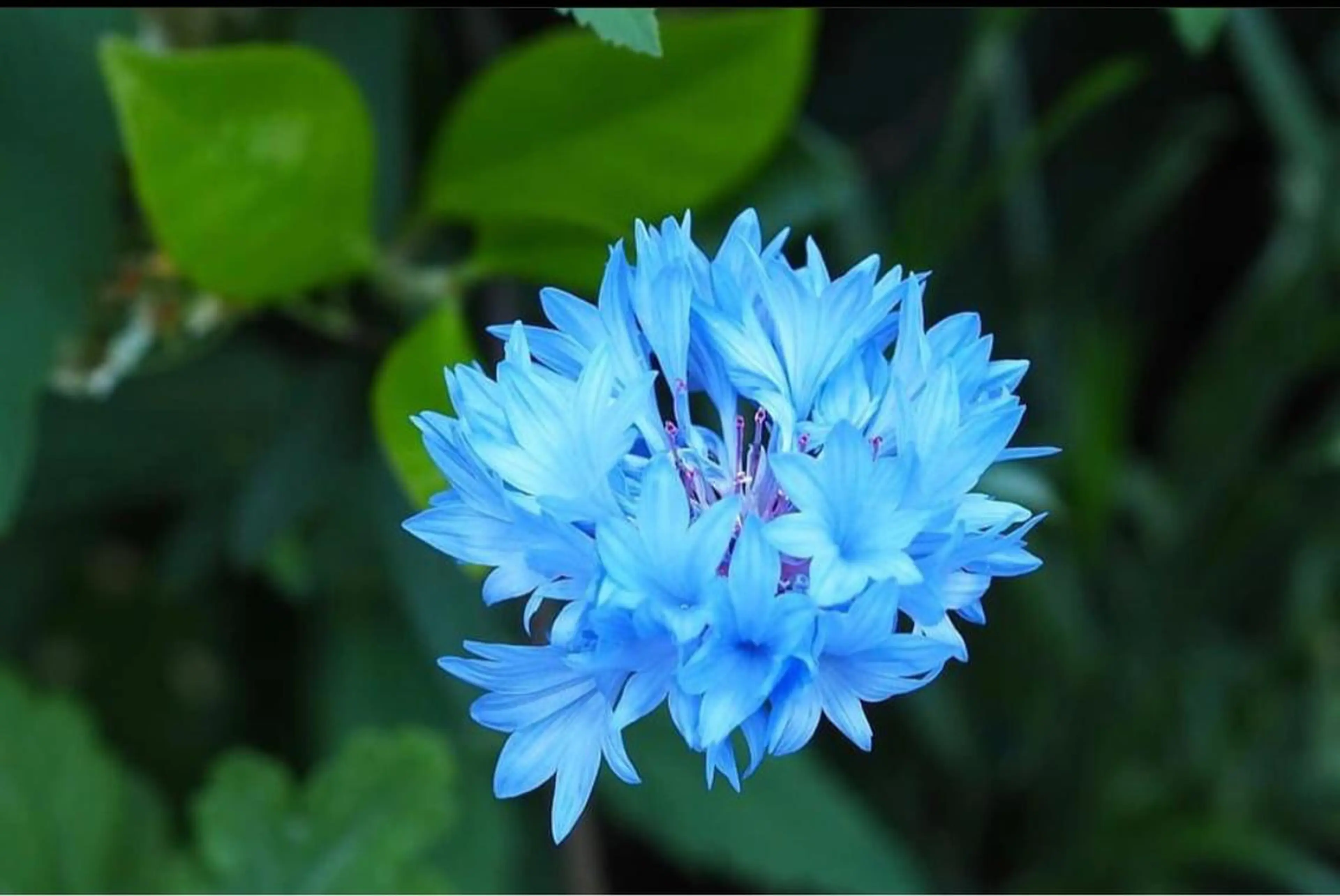 カラー B.Chance カラーリスト　ペーのヘアスタイル