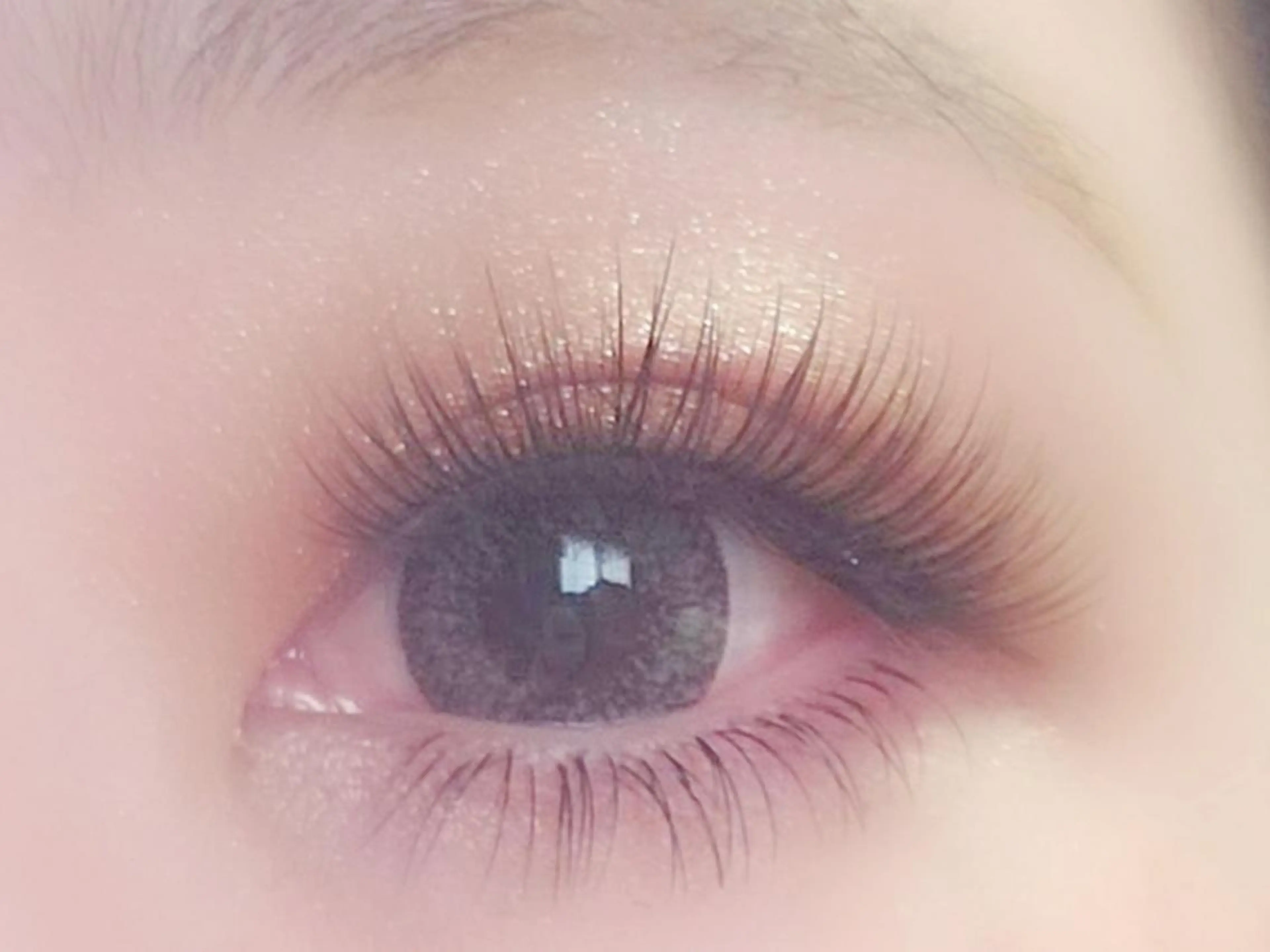 フラットラッシュつけ放題(下まつげのみ)の写真