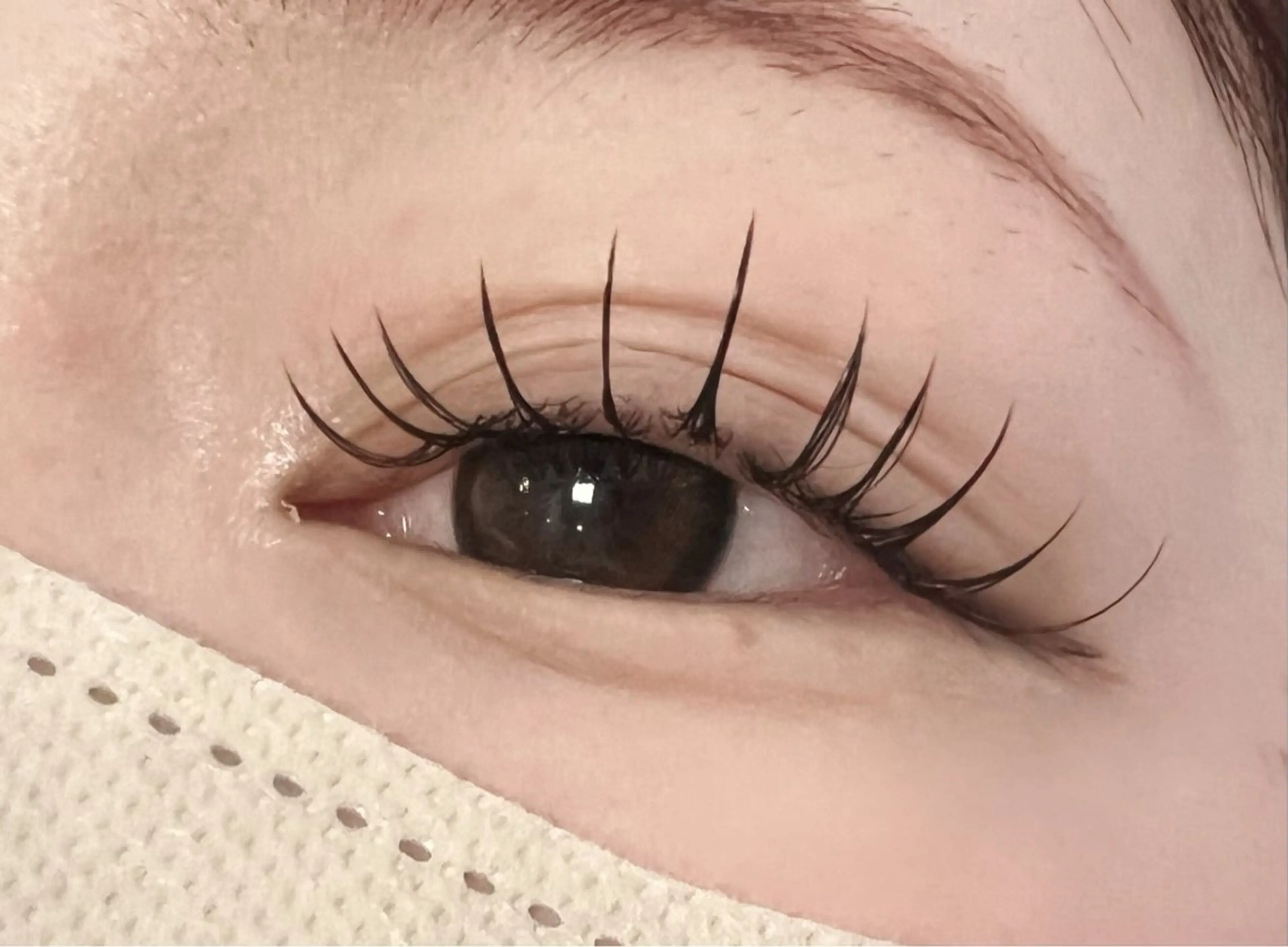 マツエク・マツパ vivi 𝐤𝐚𝐧𝐚♡の眉毛・アイブロウイメージ