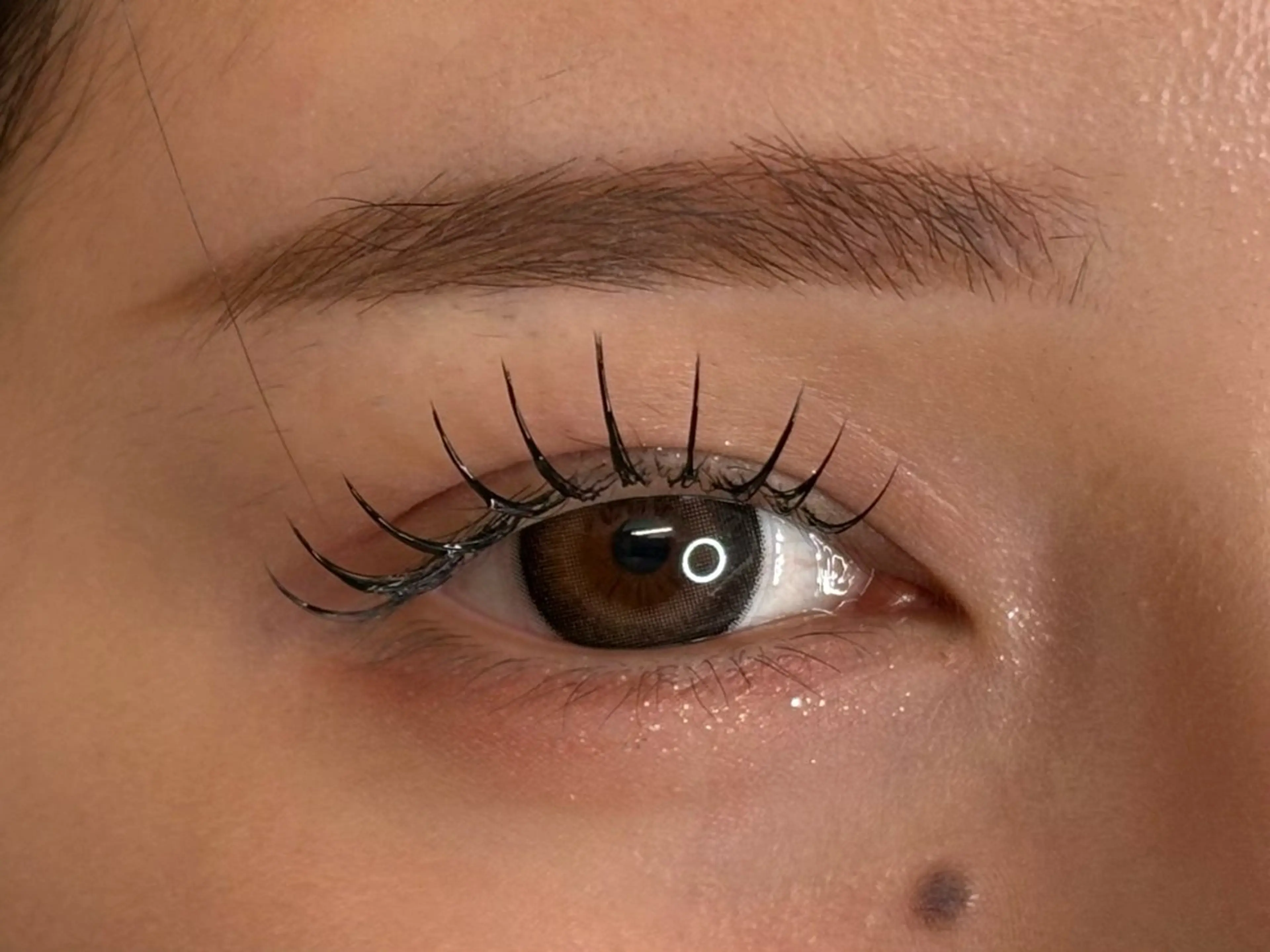 LEDエクステ120本オフ込1時間✨ベテランスタッフ担当❣️の写真