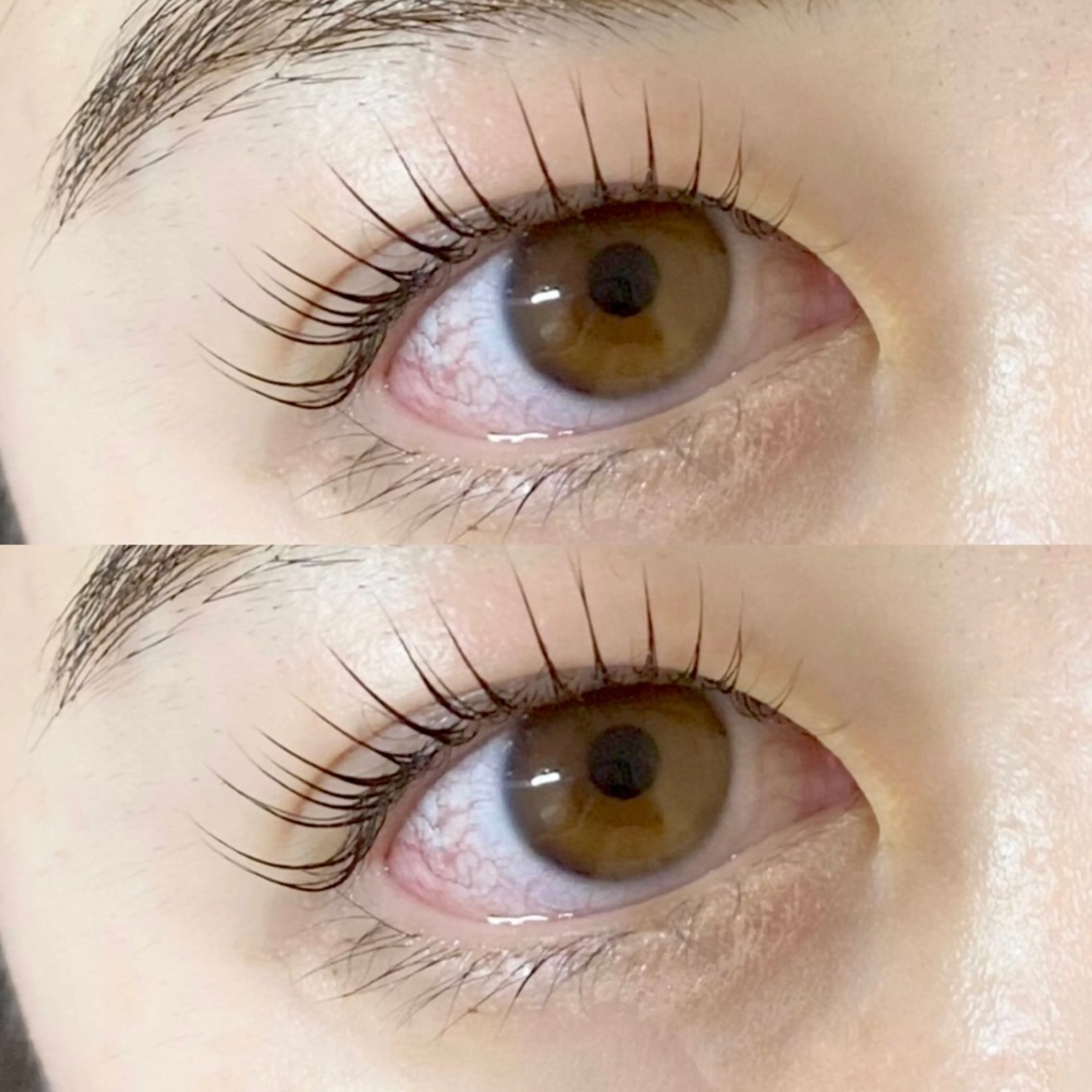 マツエク・マツパ パリジェンヌラッシュリフト Saito Honoka🕊️のマツエク・マツパデザイン