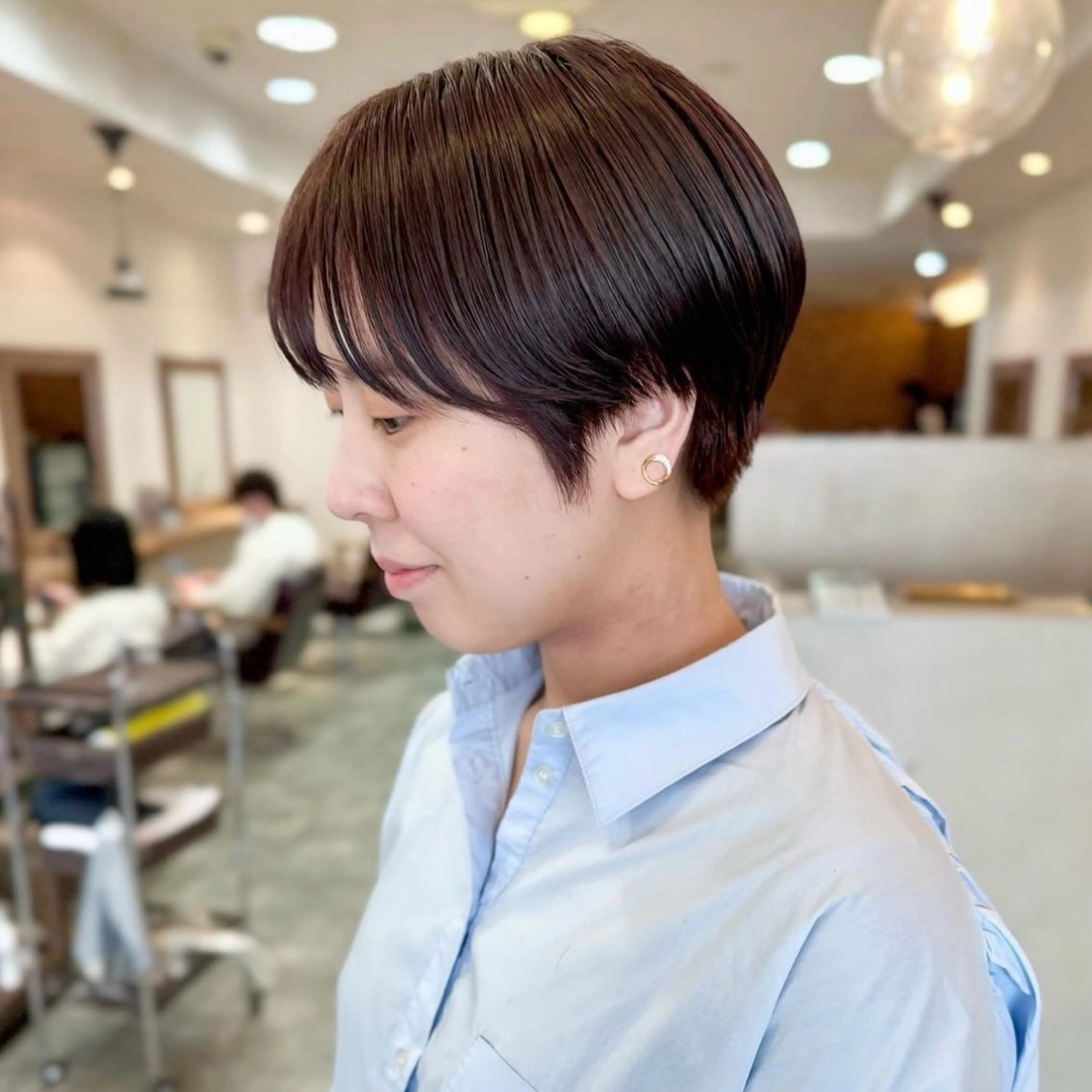 カット／フルカラーの写真