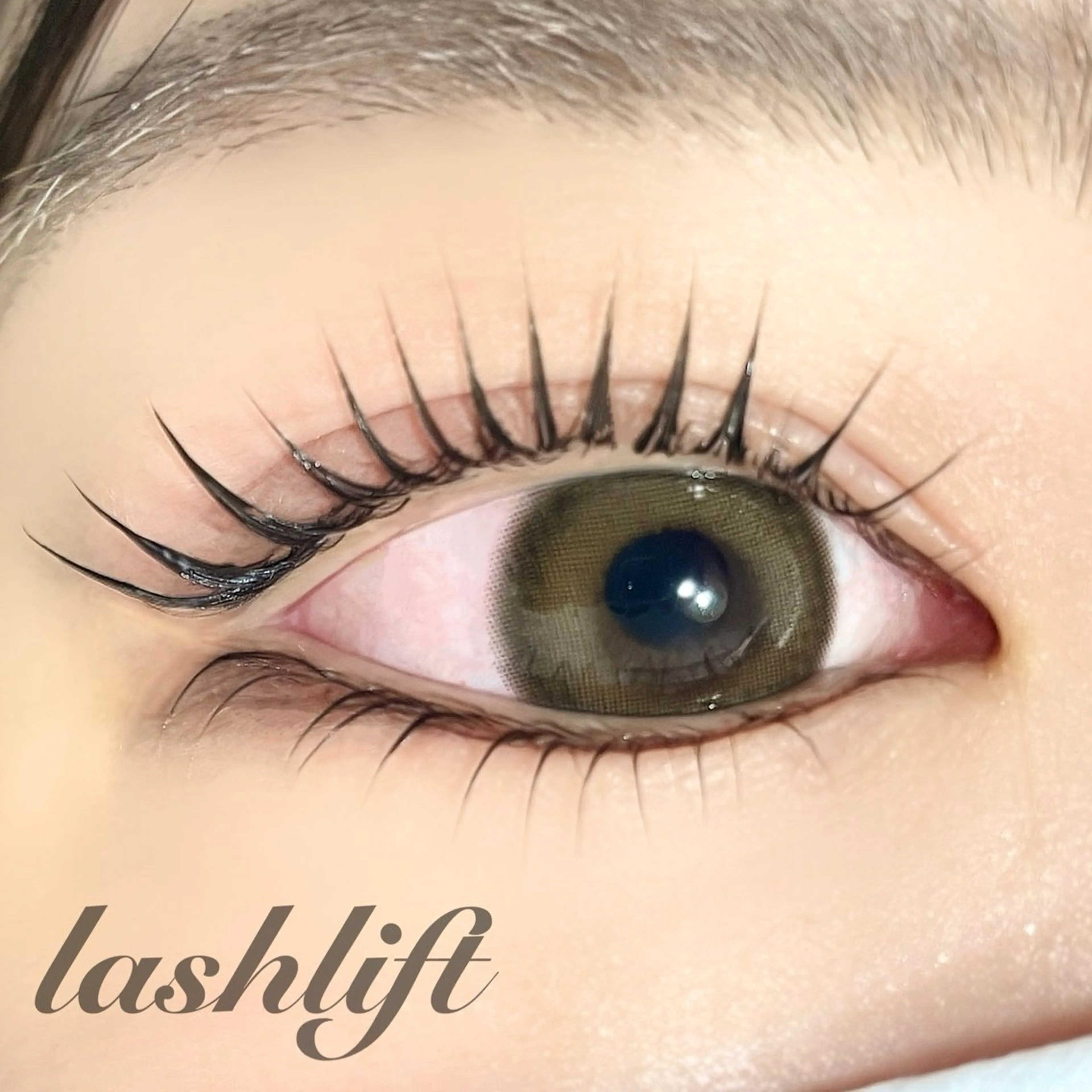 ラッシュリフト【上のみ】の写真