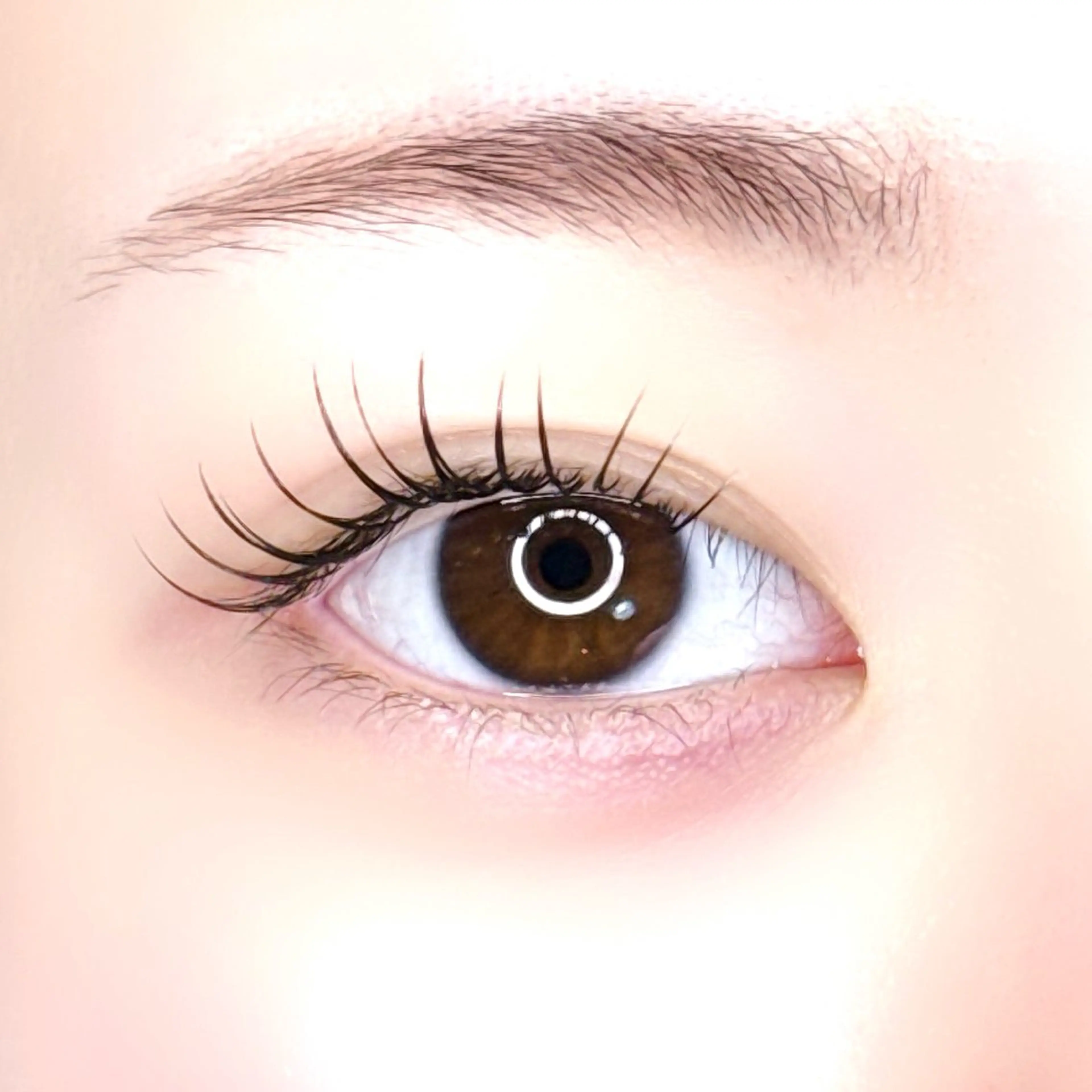 🧡minimo限定価格🧡ラッシュリフト・まつげパーマ/アイシャンプー・2種類のトリートメント・コーティング付きの写真