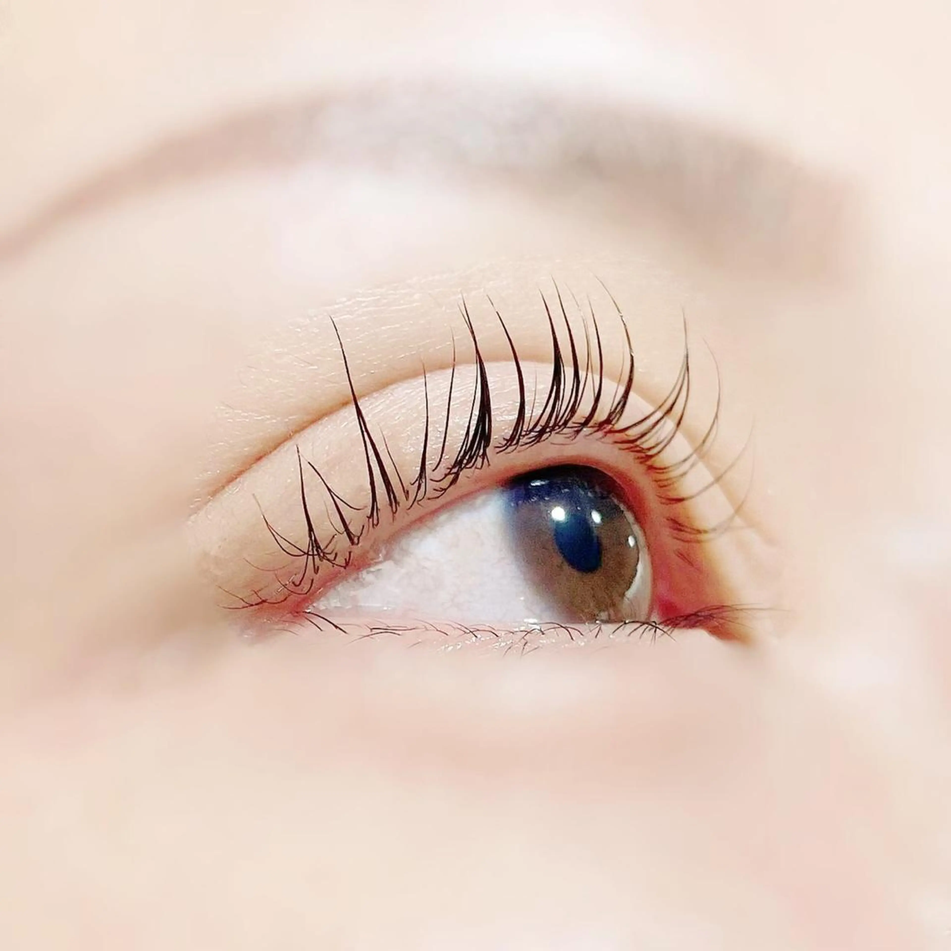 マツエク・マツパ 店長💎 ハラダの眉毛・アイブロウイメージ