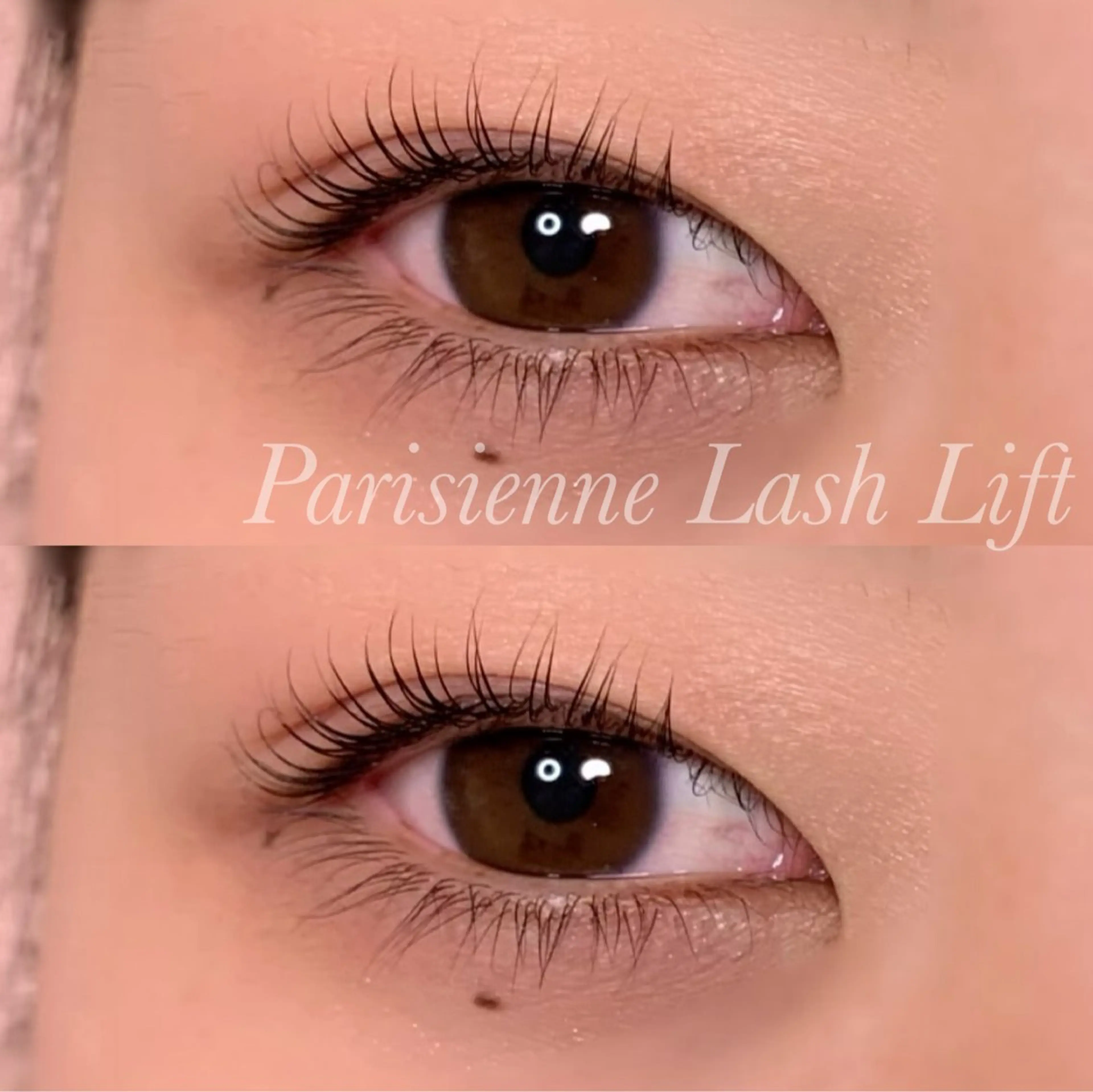 マツエク・マツパ パリジェンヌラッシュリフト マツパ Ayumi.pro 🍆N《4階》のマツエク・マツパデザイン