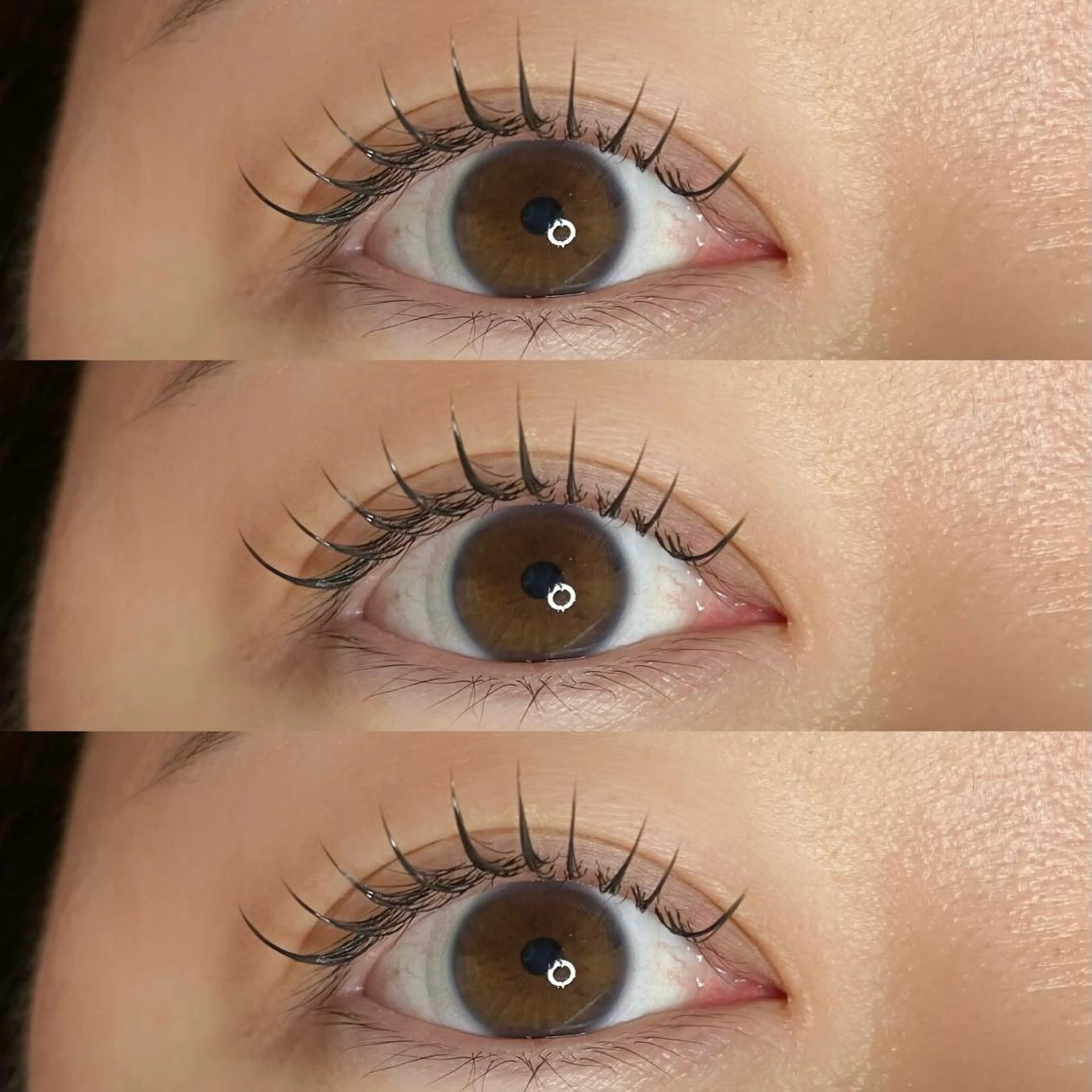 マツエク・マツパ フラットラッシュ 24 -niji-のマツエク・マツパデザイン