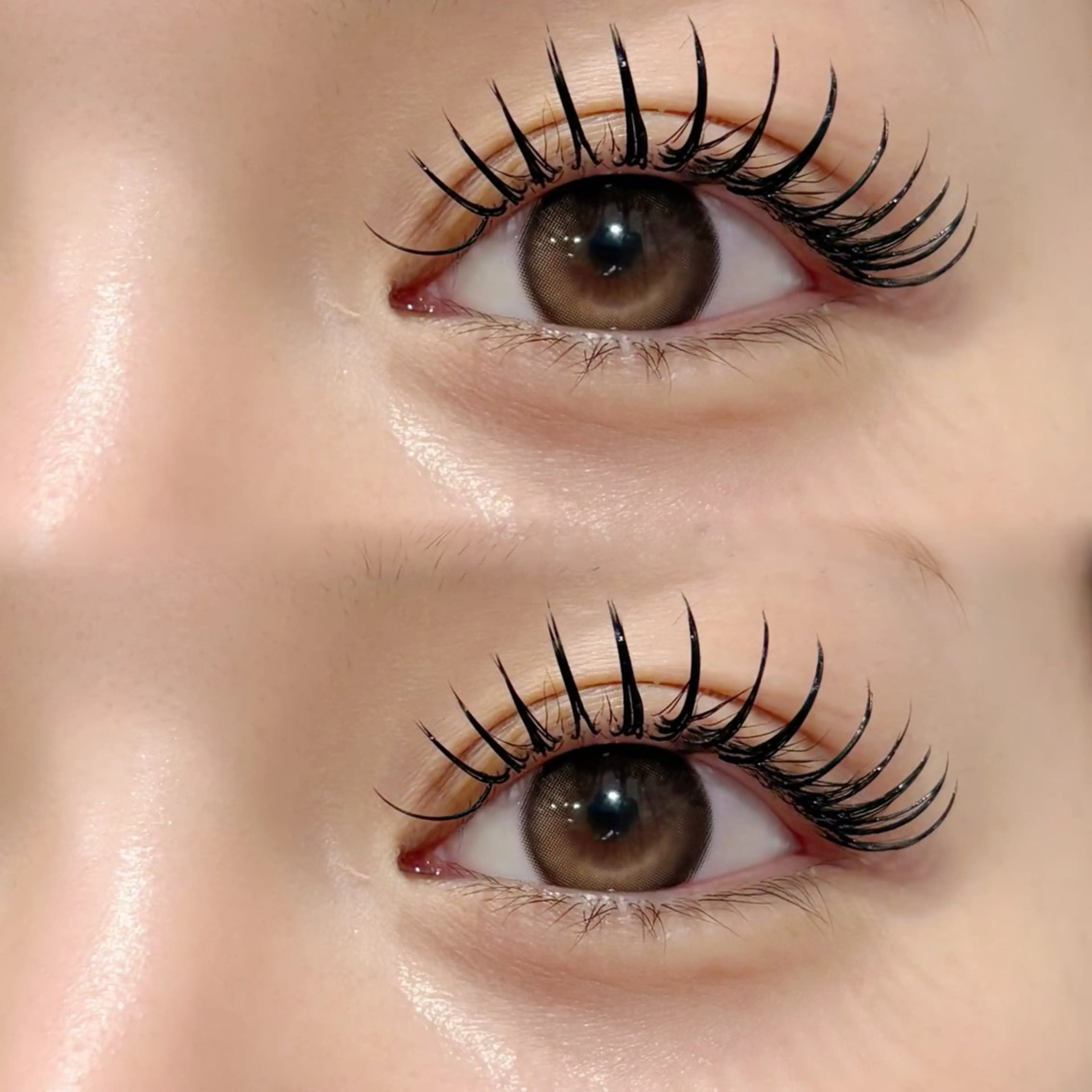 マツエク・マツパ マツエク OLIVIA GINZA前川のマツエク・マツパデザイン