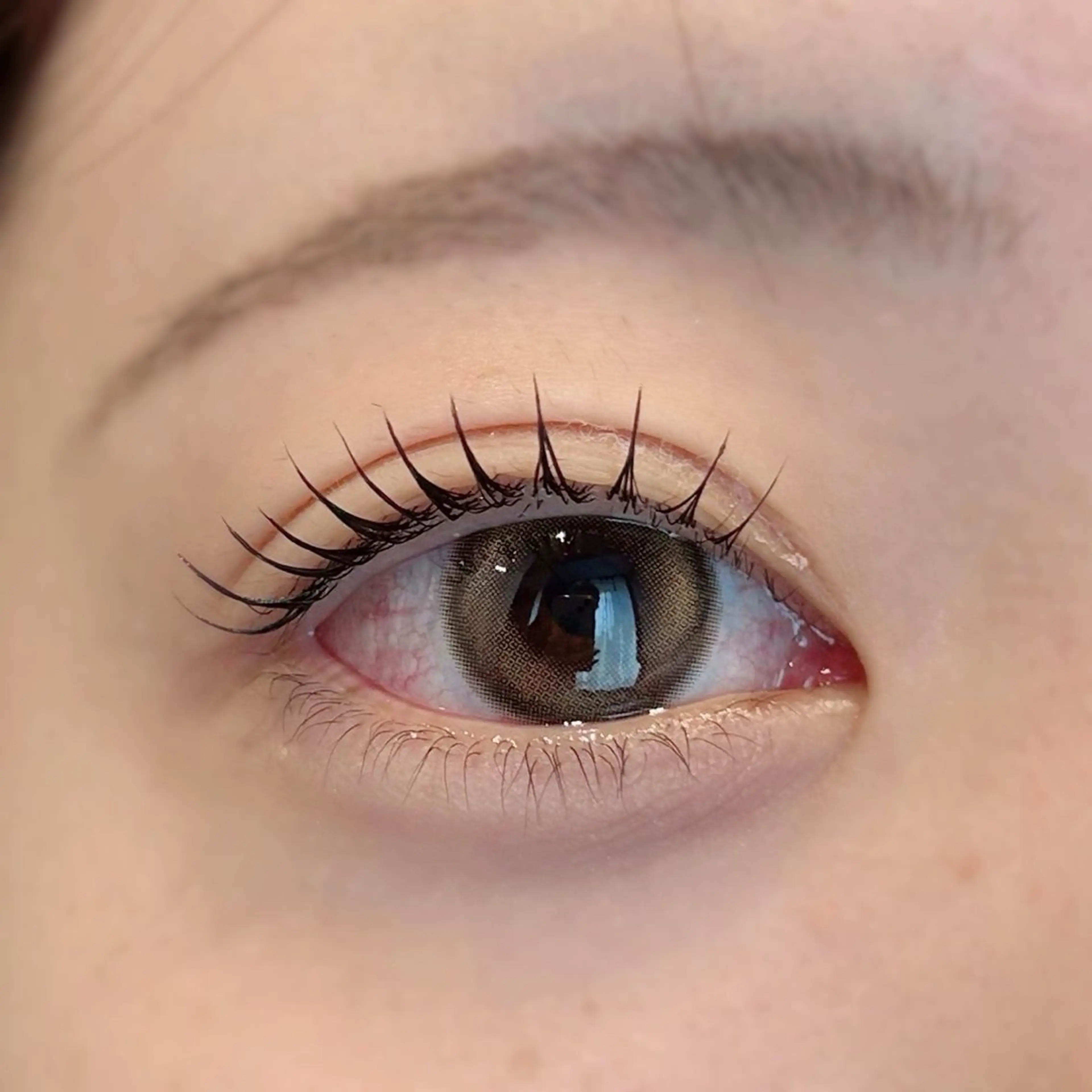 マツエク・マツパ Biolus／天王寺 2号店🌸noa🌸のマツエク・マツパデザイン