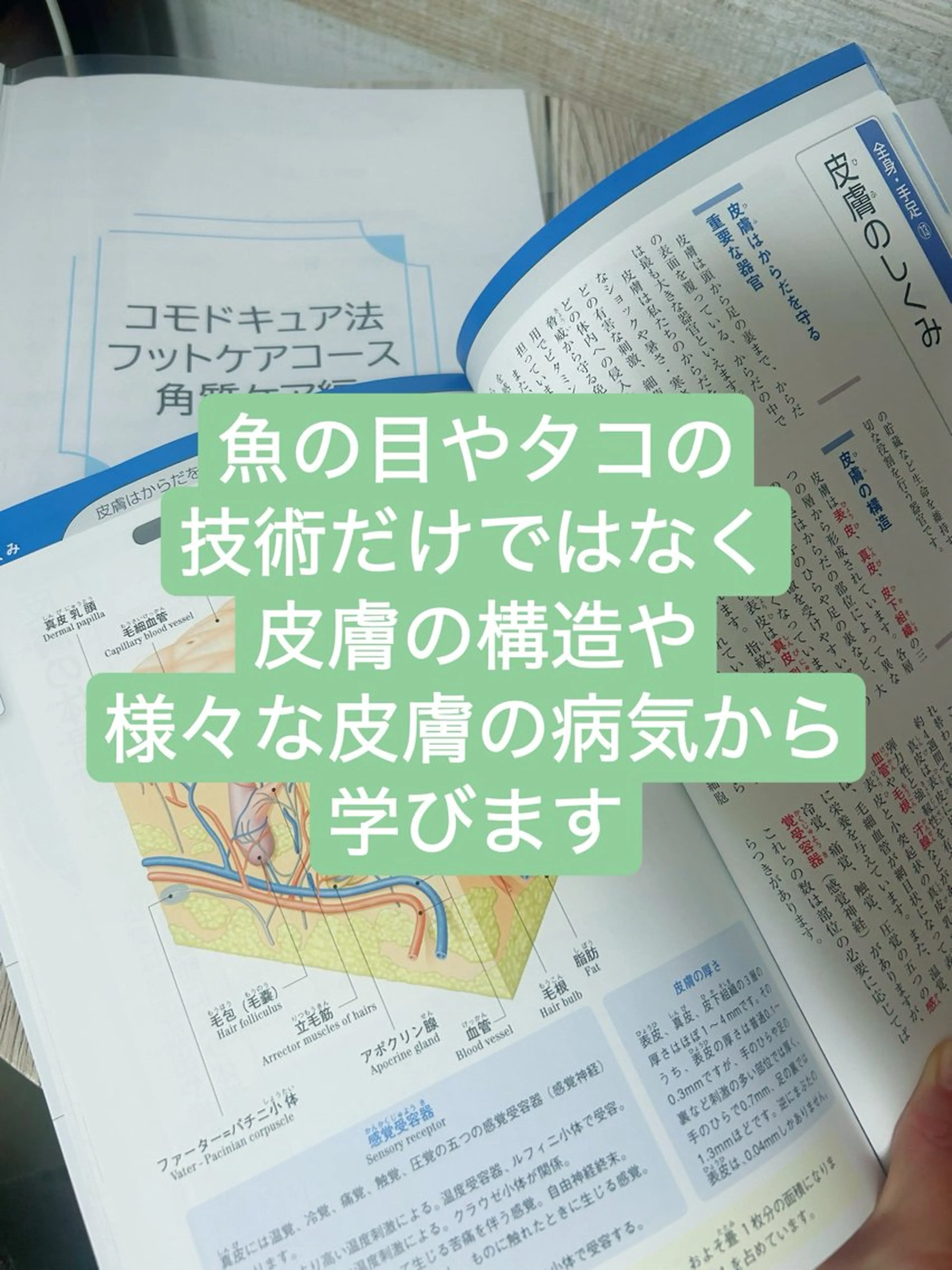 巻き爪フットケアサロンKotori所属・フットケアサロン Kotoriのその他イメージ