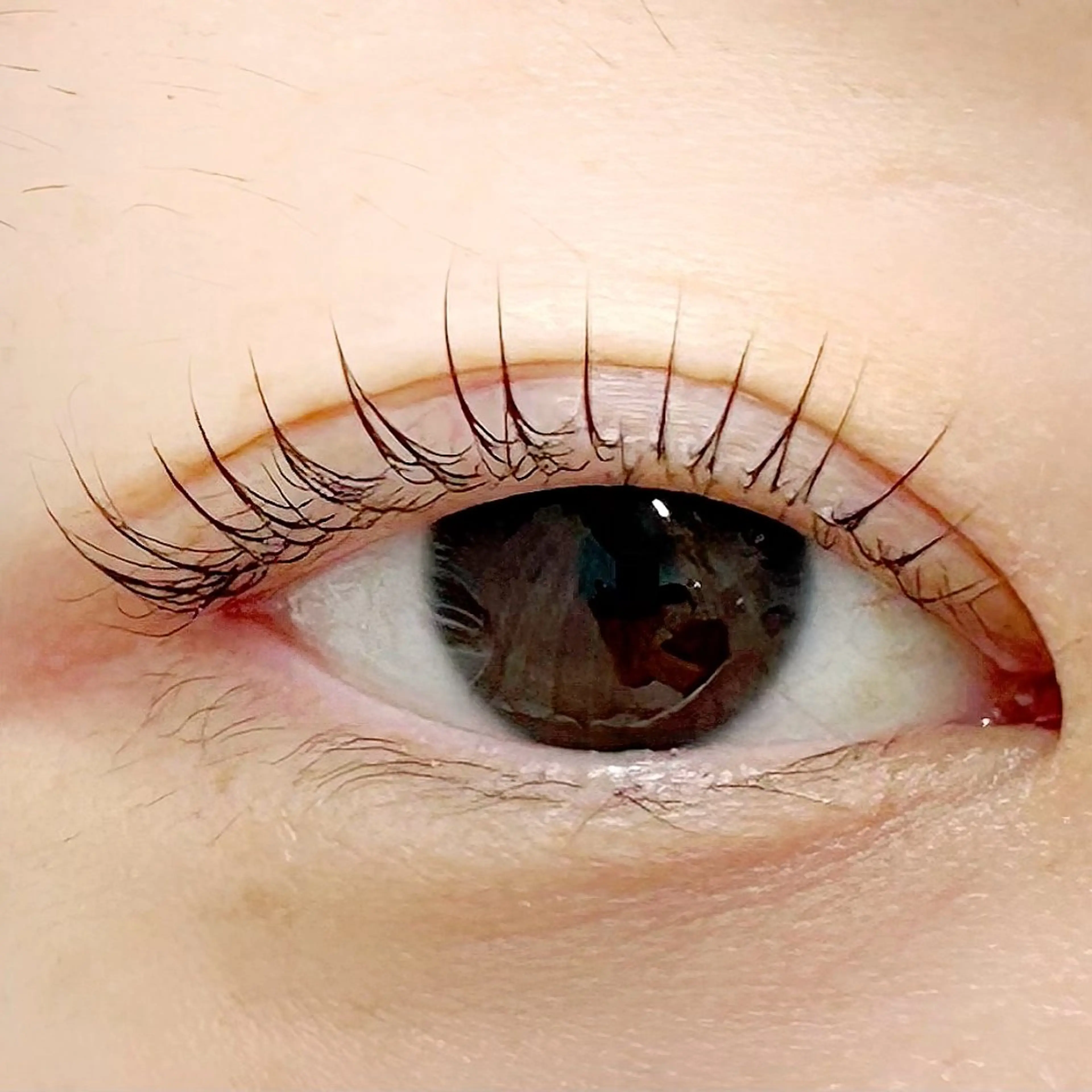 マツエク・マツパ パリジェンヌラッシュリフト 一重×まつ毛パーマ BellFlower Aki（眉・まつげ）のマツエク・マツパデザイン