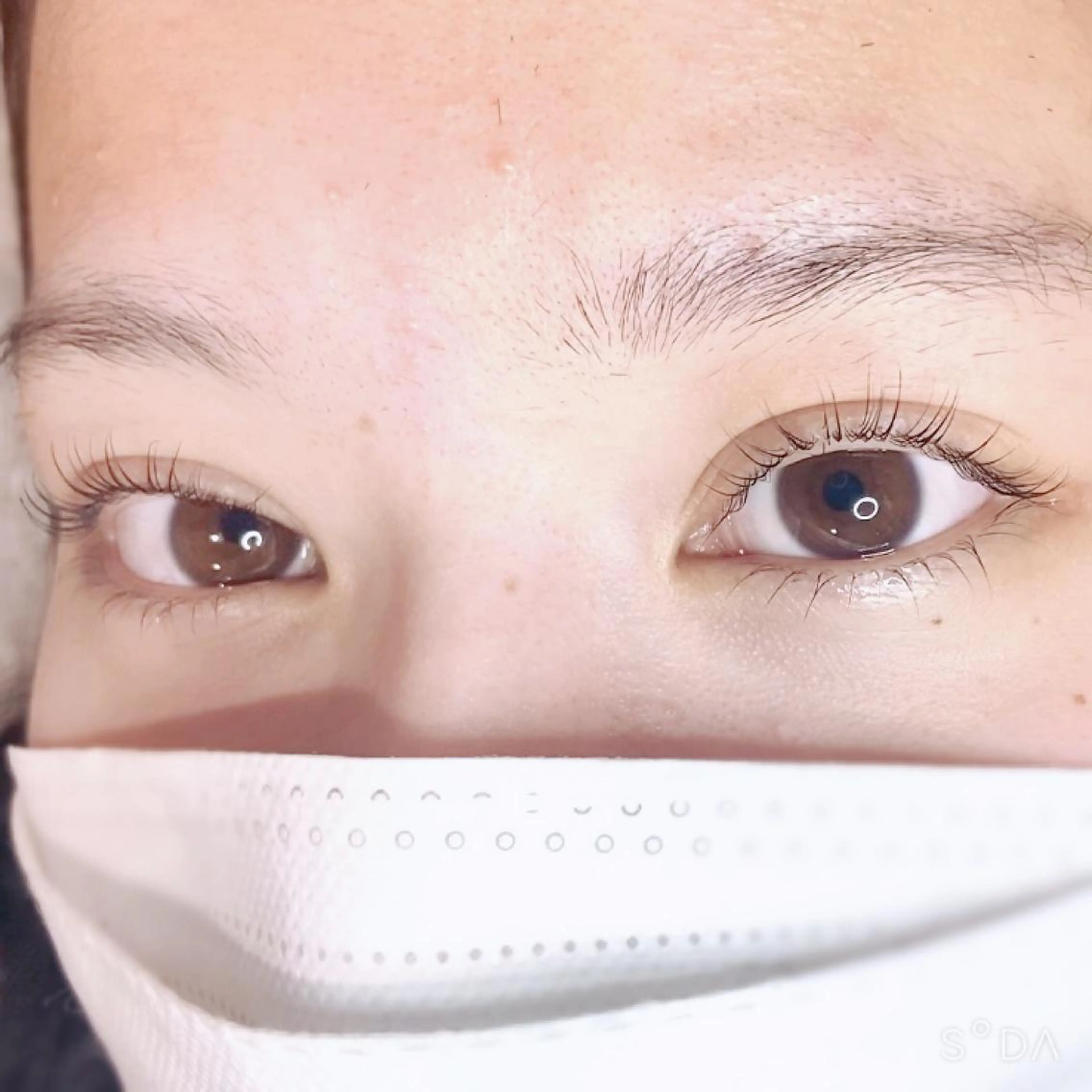 マツエク・マツパ 下まつげエクステ 一重×まつ毛パーマ フジ ワラのマツエク・マツパデザイン