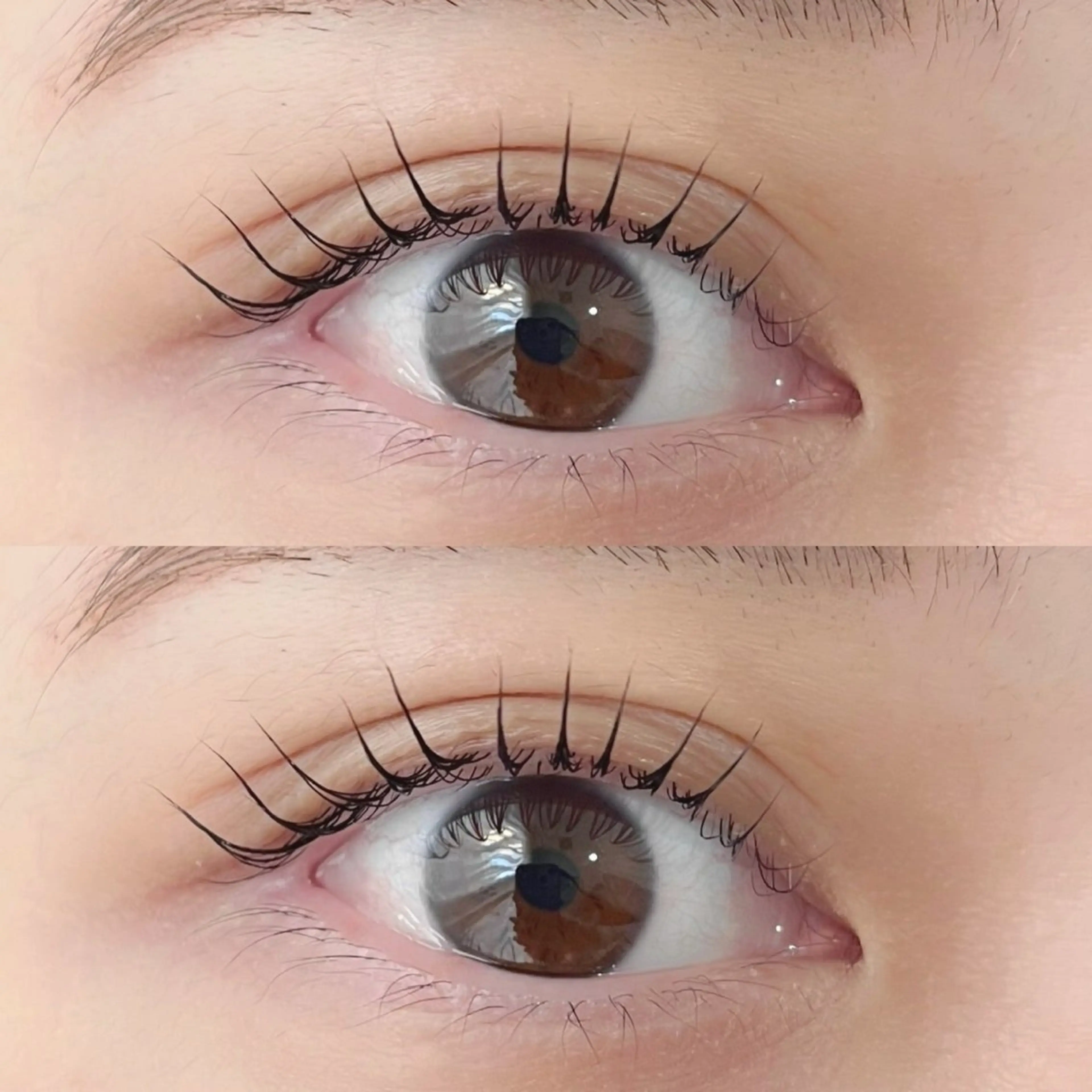 ❤️🎅🏻12月ご新規様限定🎅🏻❤️【𝑺𝑵𝑺で話題】韓国風まつ毛パーマ🇰🇷＋美容液👀の写真